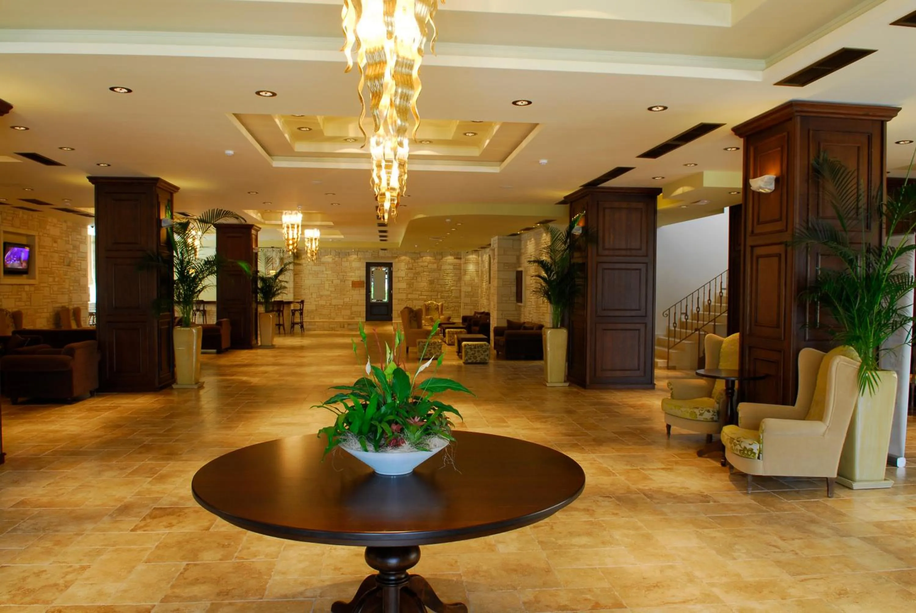 Lobby or reception in Cactus Royal Spa & Resort Adults Only