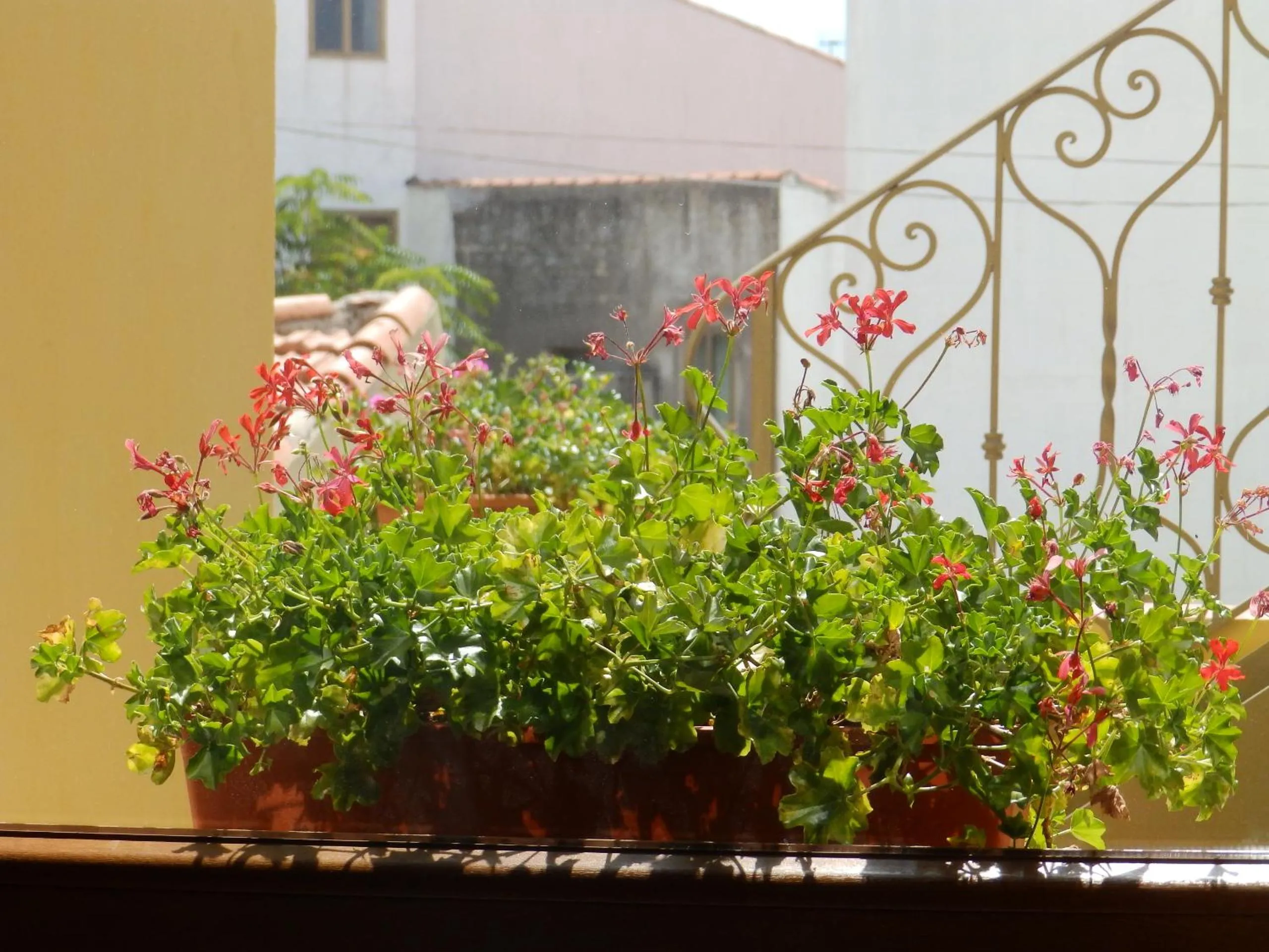 Street view in Sa Chessa B&B