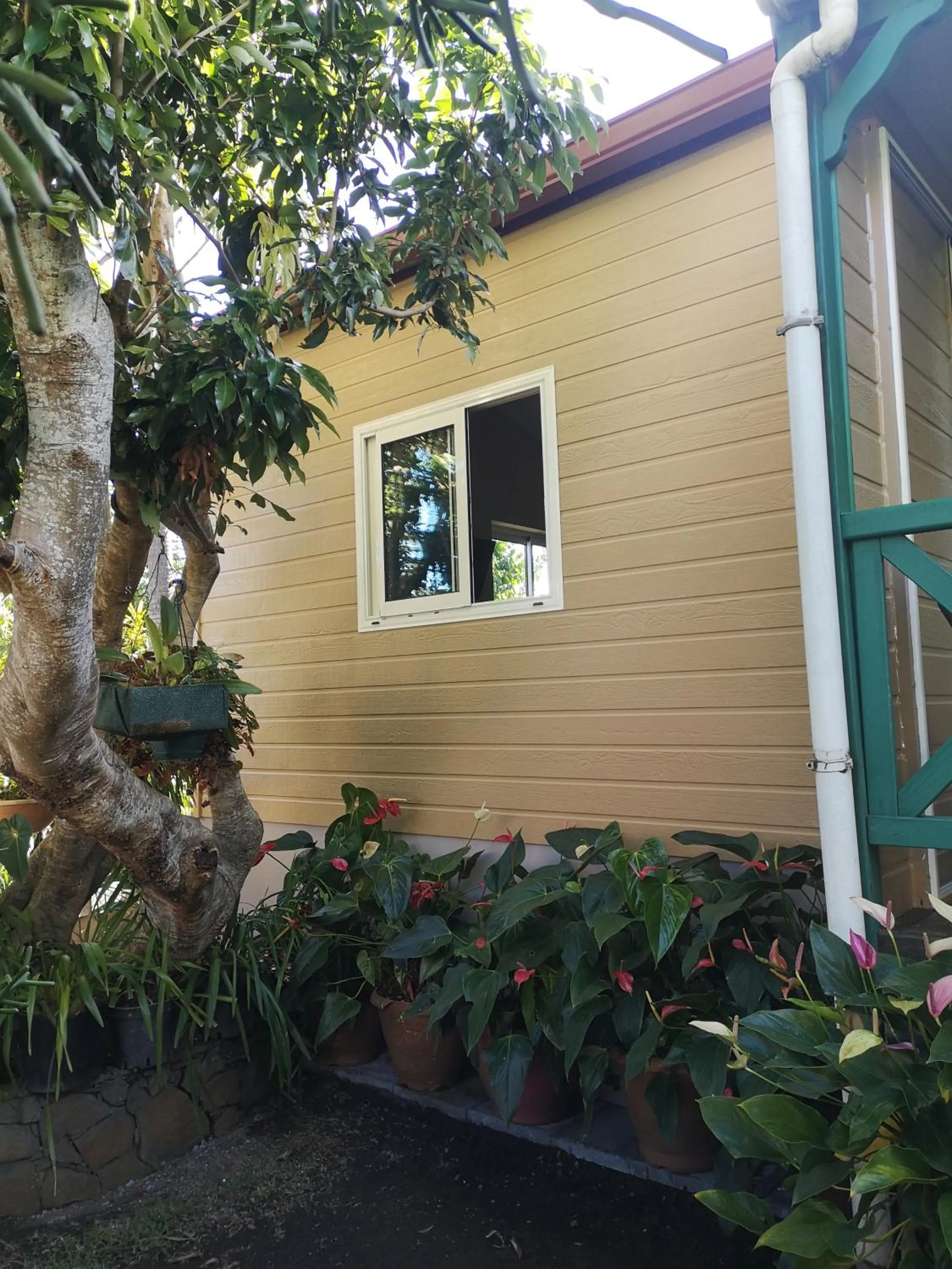 View (from property/room) in Les Agapanthes