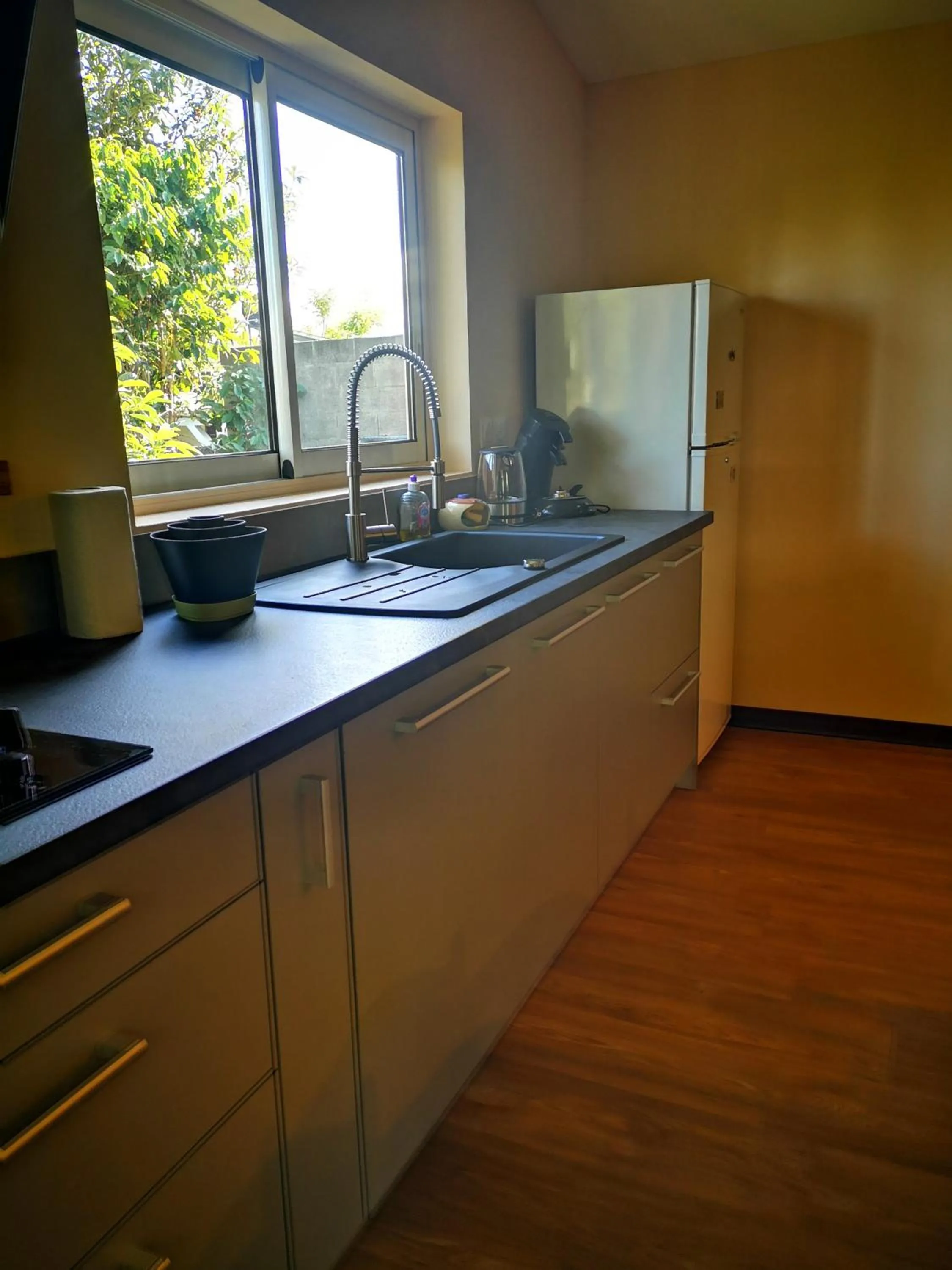 Communal kitchen in Les Agapanthes