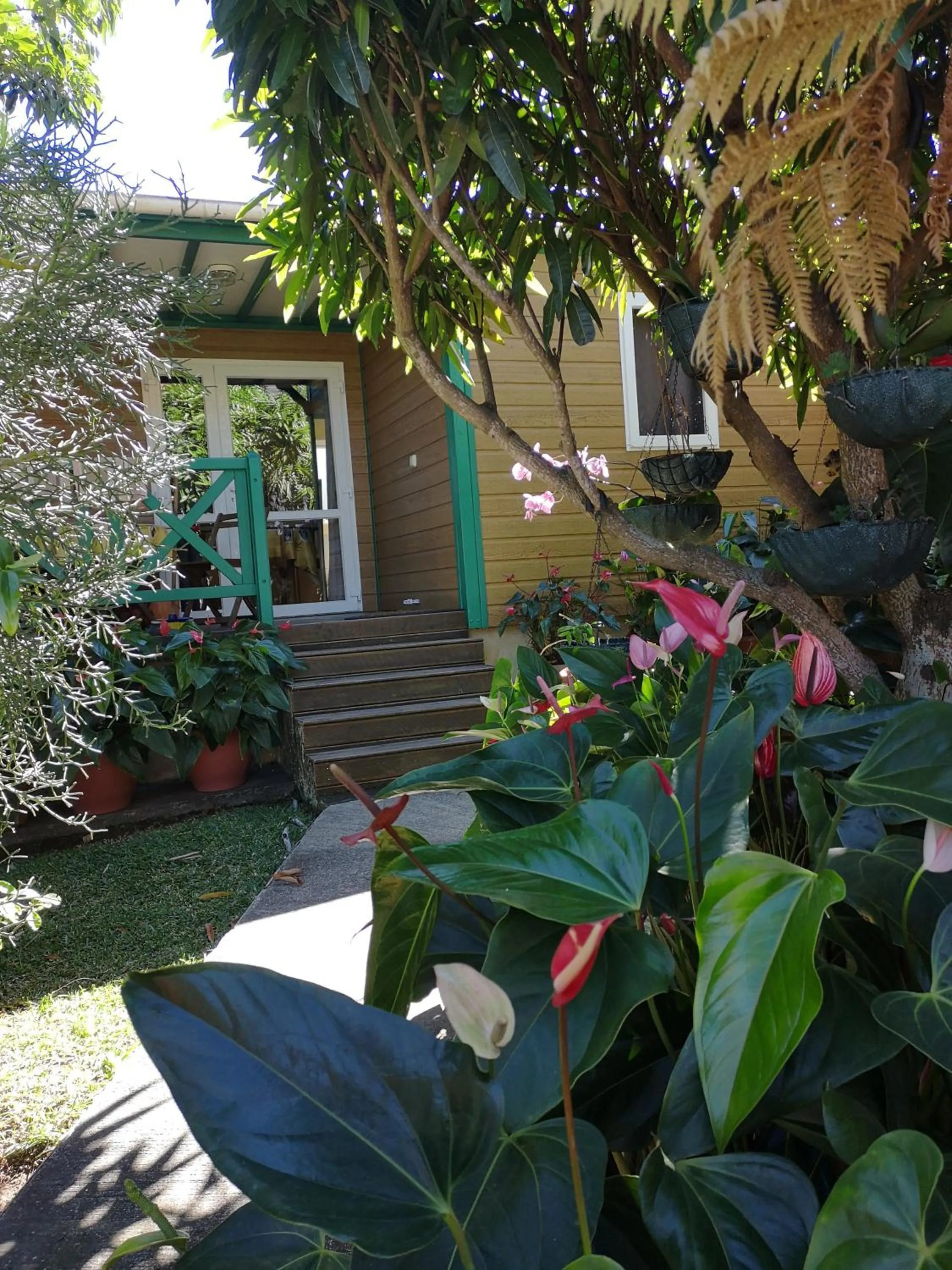 Garden in Les Agapanthes