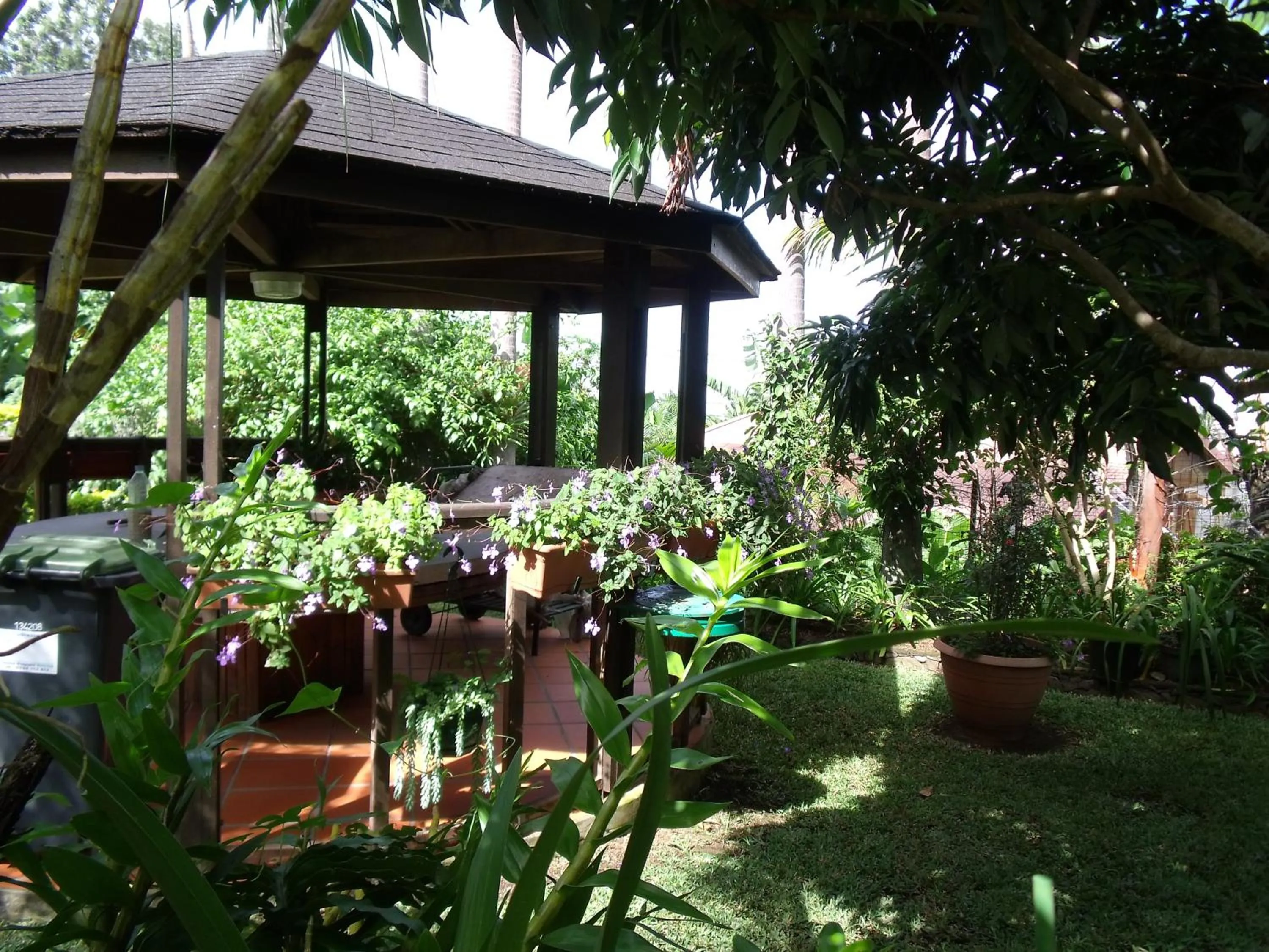 Garden in Les Agapanthes