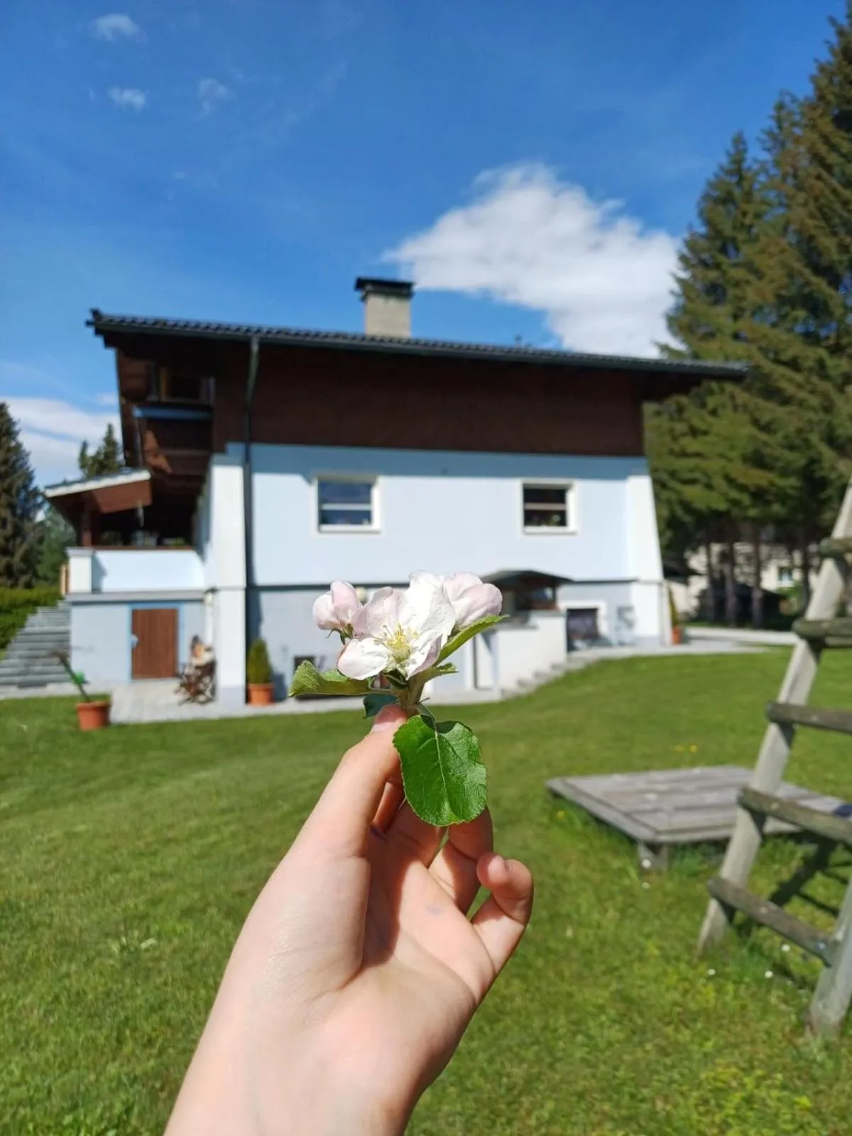 Property building in Appartements am See