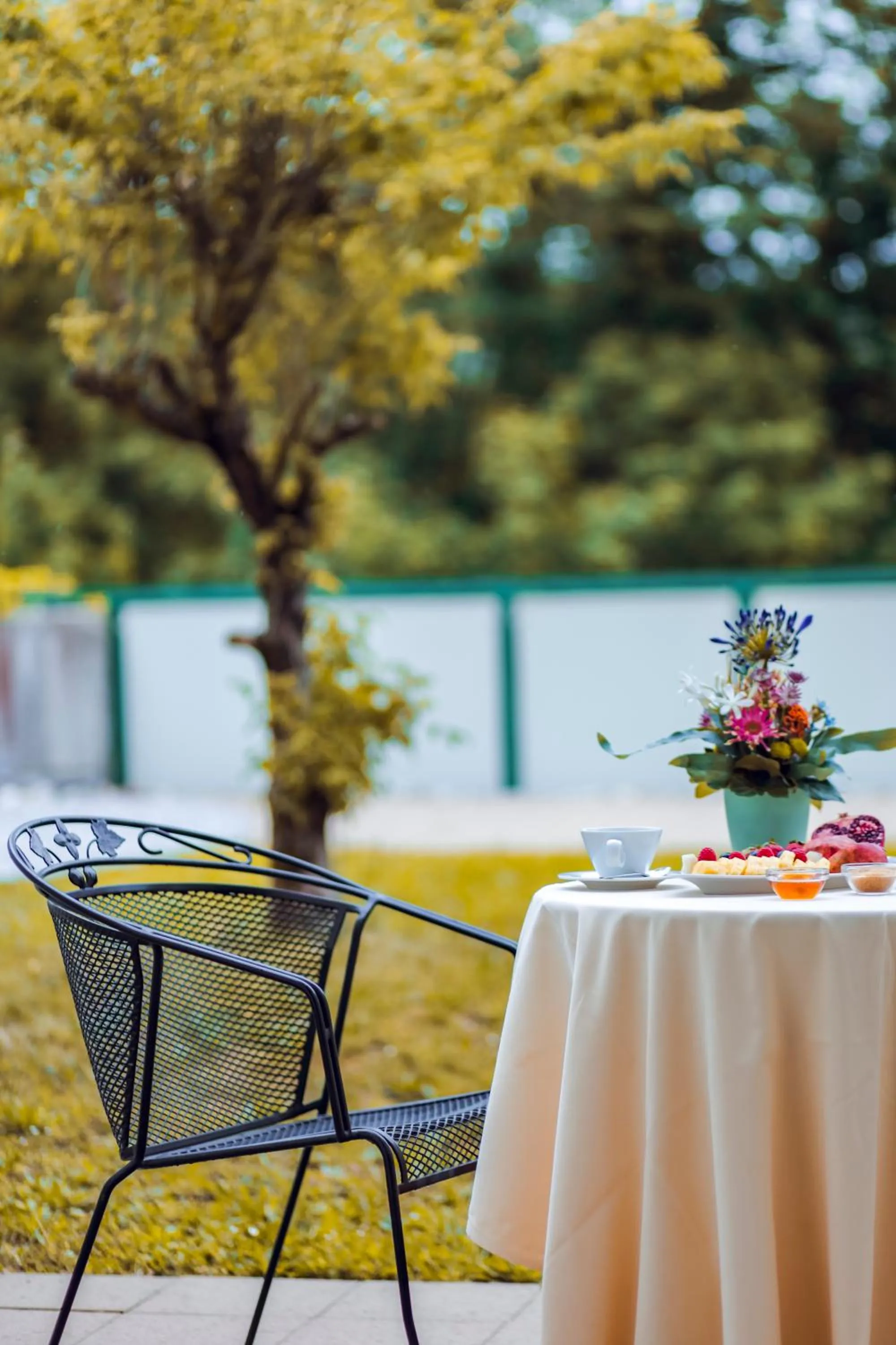 Balcony/Terrace in Hotel Fontana