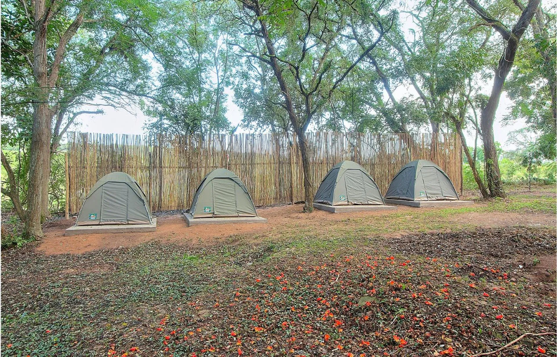 Photo of the whole room in Kruger Adventure Lodge