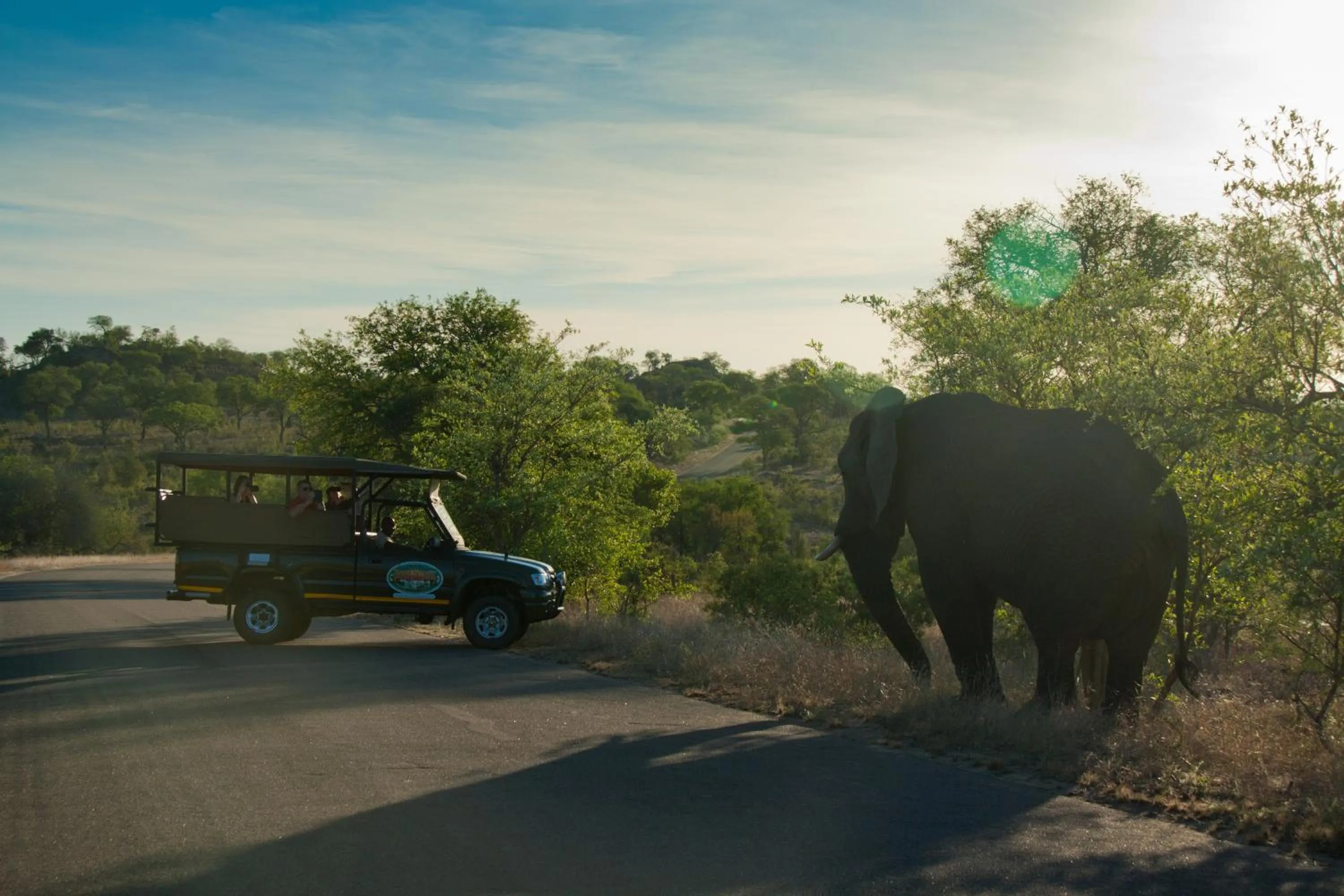 Activities in Kruger Adventure Lodge