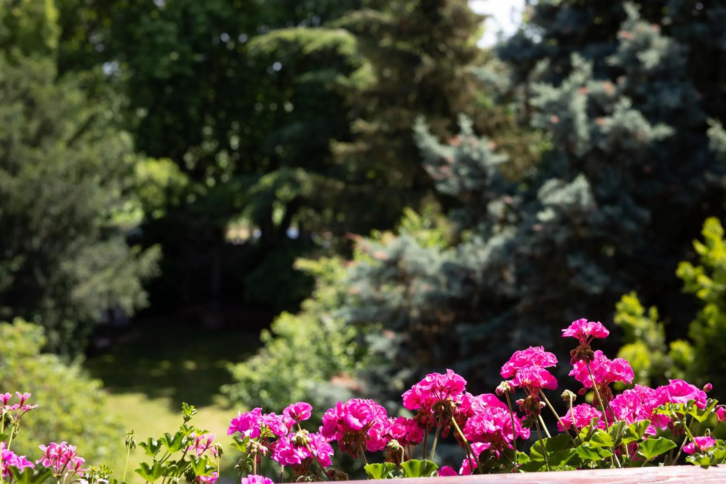 Hotel Restaurant Krone