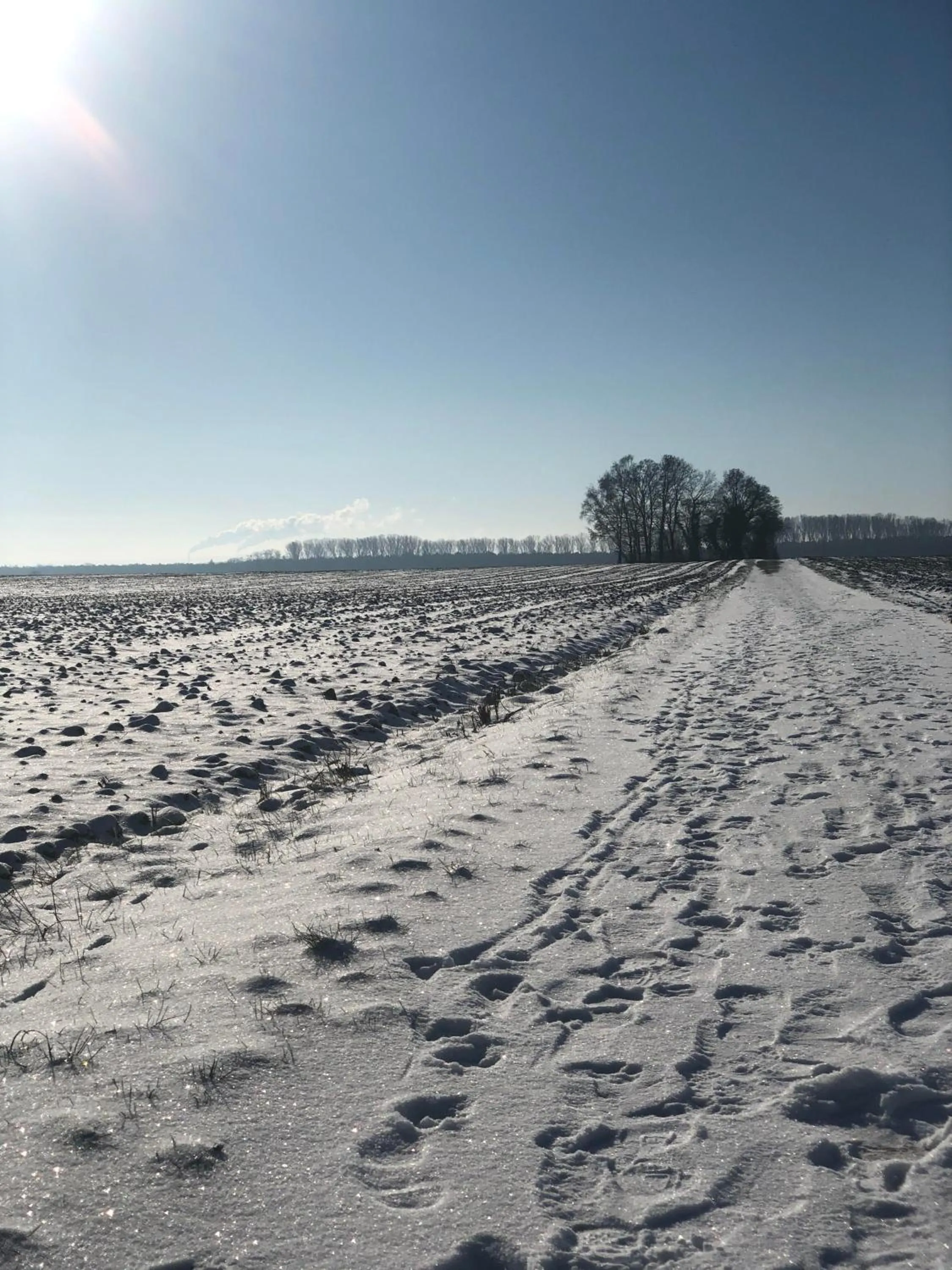 Hotel Restaurant Krone