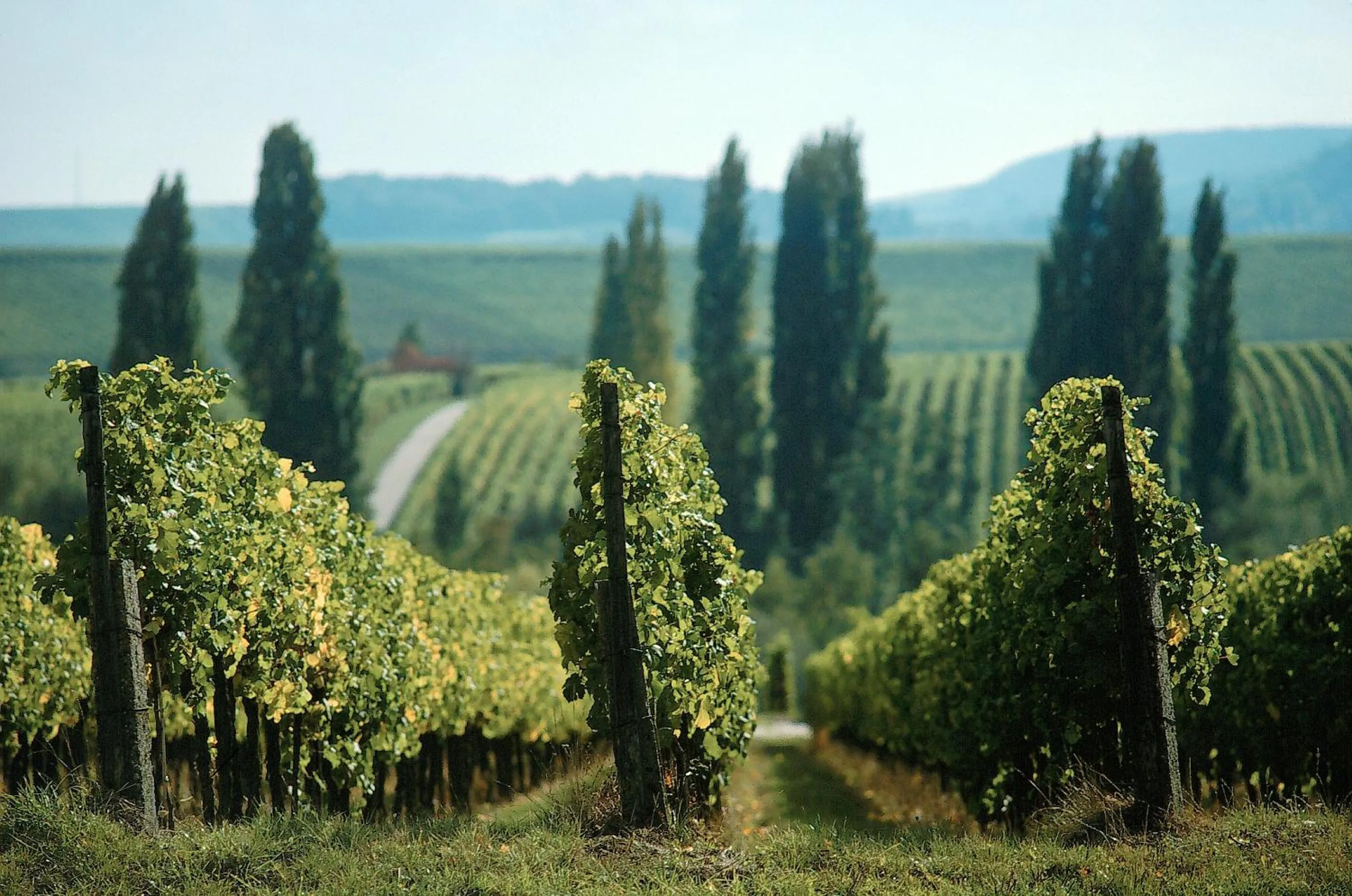 Hotel Restaurant Krone