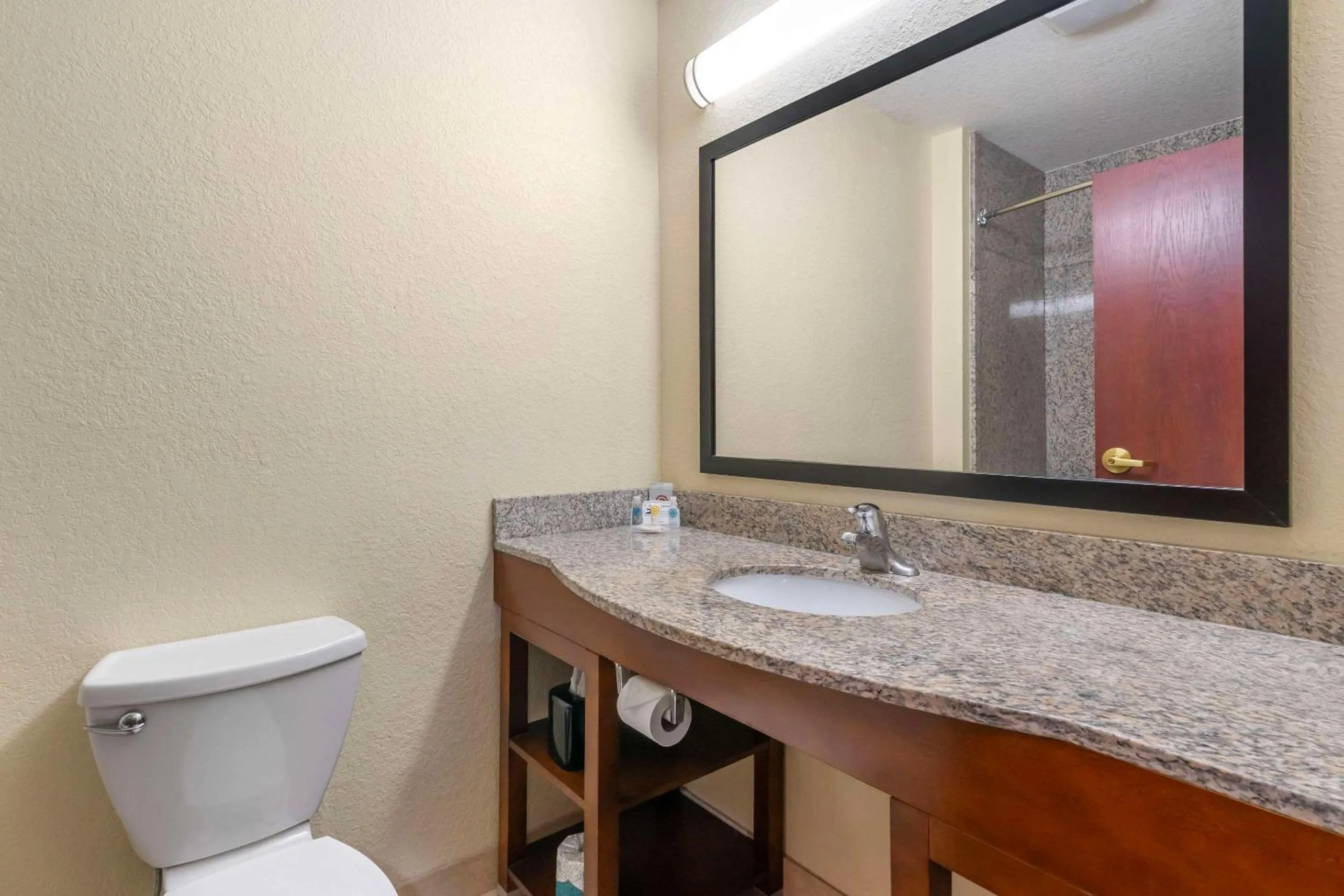 Bedroom in Comfort Inn & Suites Northeast - Gateway