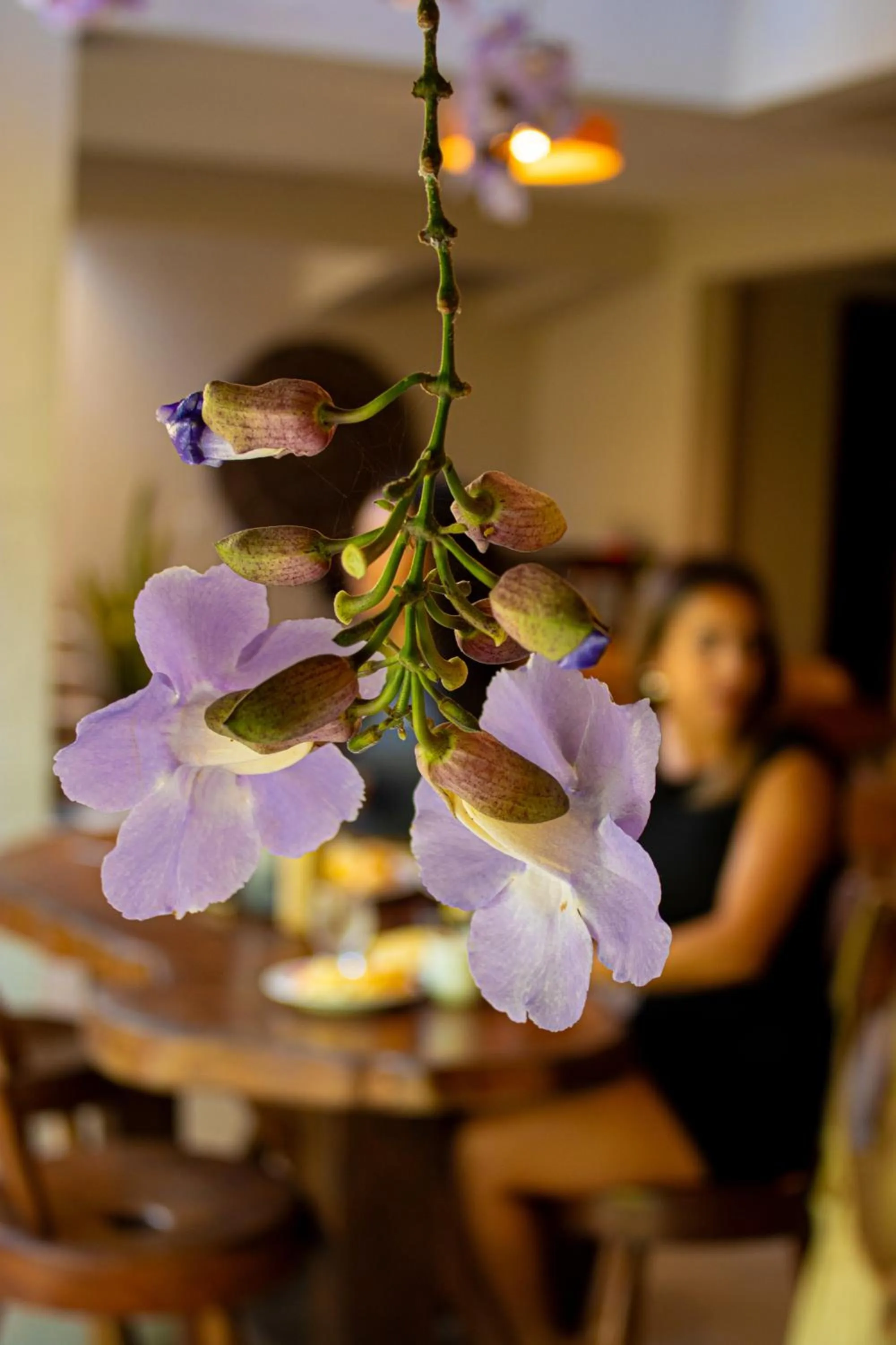 Breakfast in Pousada Encantos de Arraial