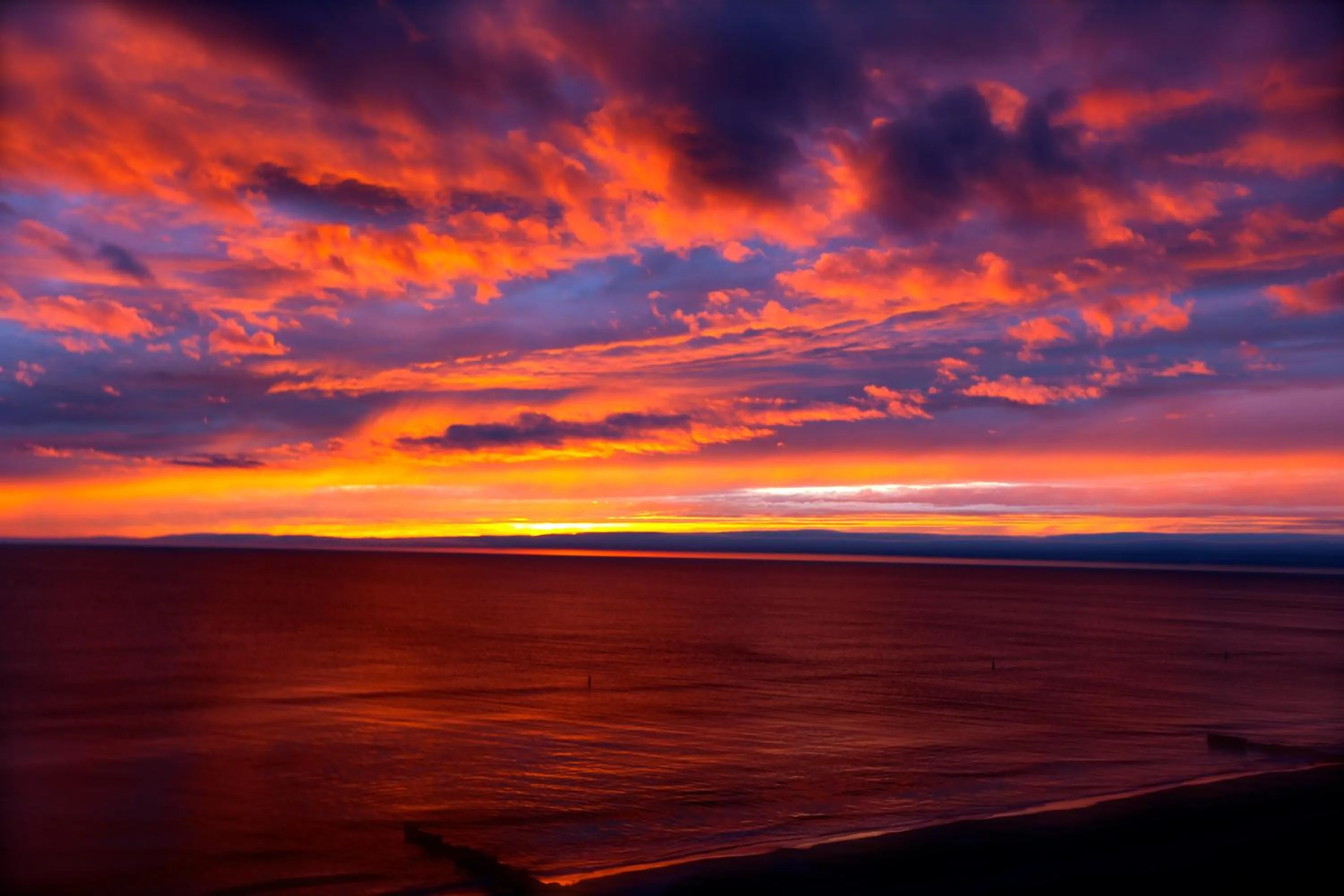 View (from property/room) in Shoreline Island Resort - Exclusively Adult