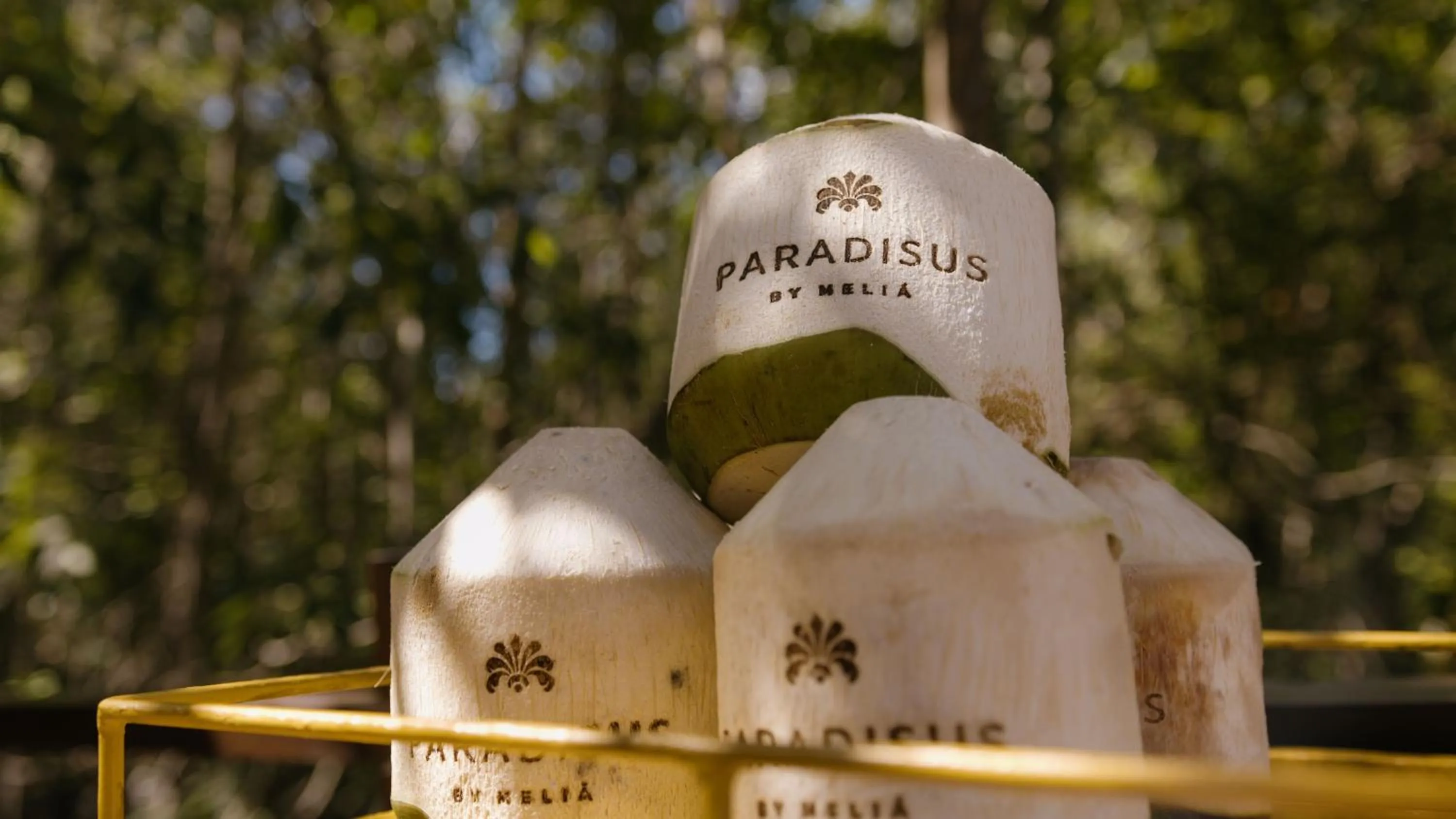 Food and drinks in Paradisus La Perla - Adults Only - Riviera Maya