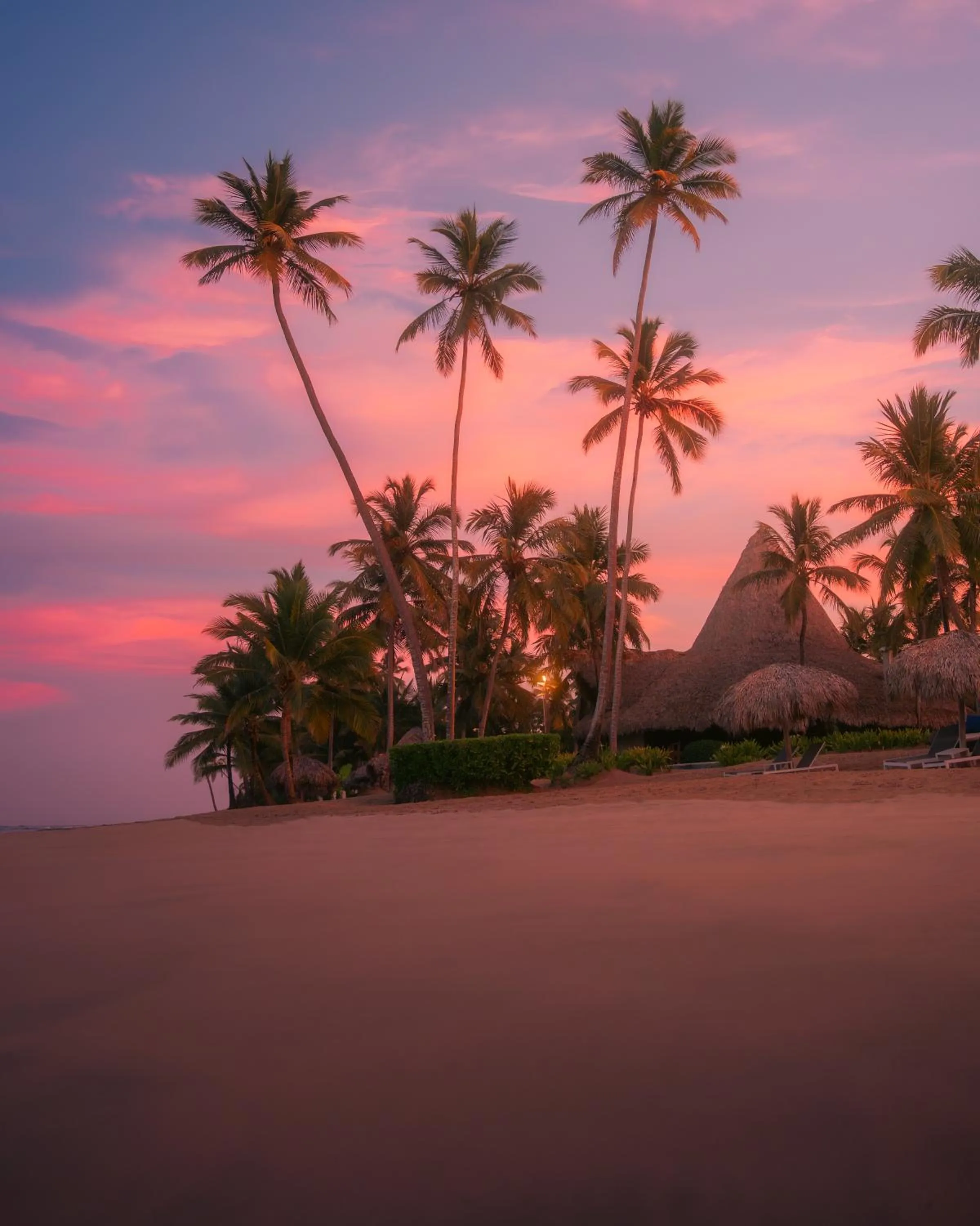 Beach in Zoetry Agua Punta Cana - All Inclusive