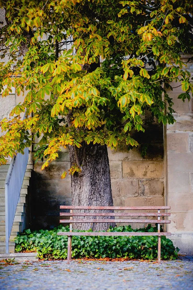 deckert`s Hotel an der Klosterpforte