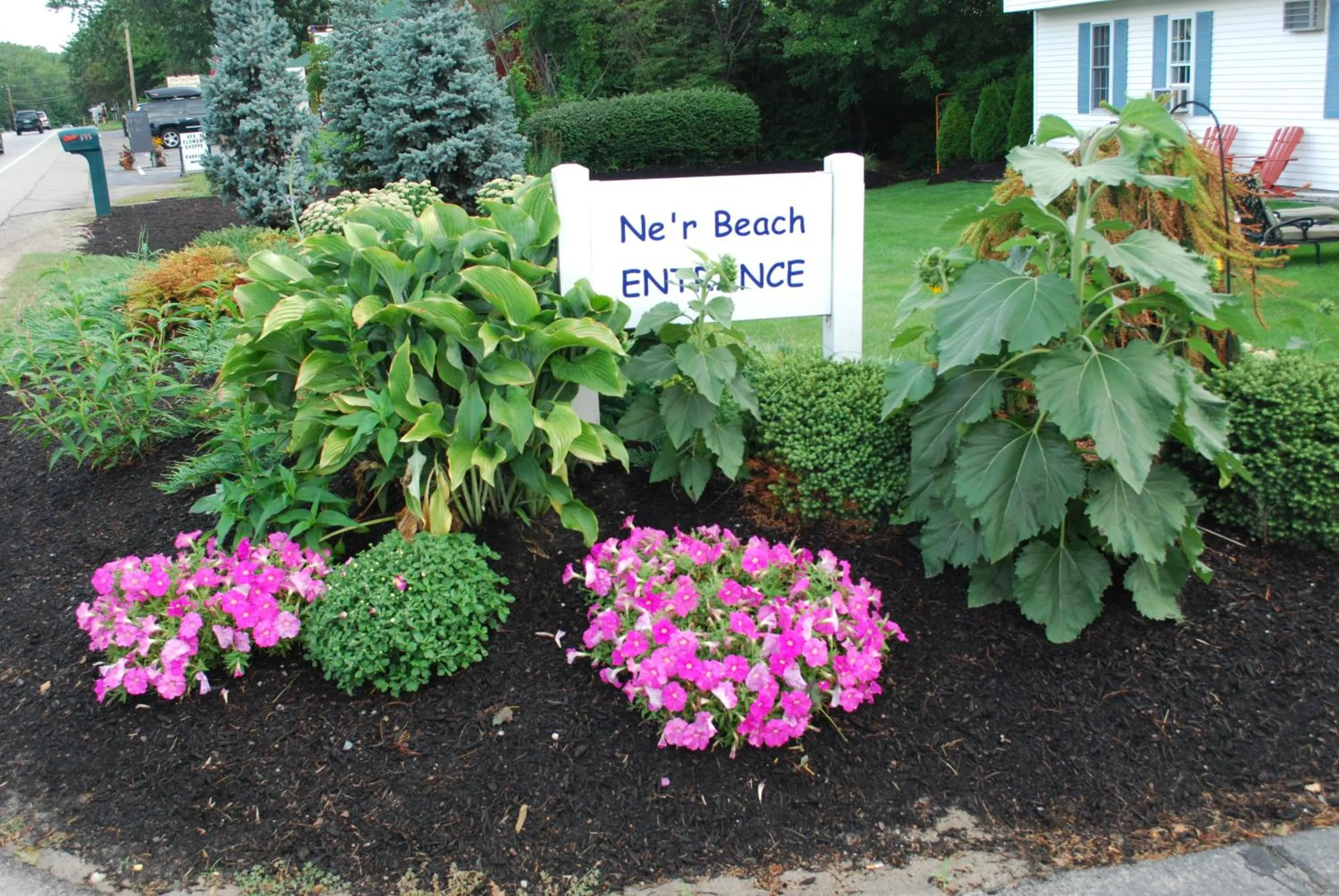 Garden in Ne'r Beach Motel