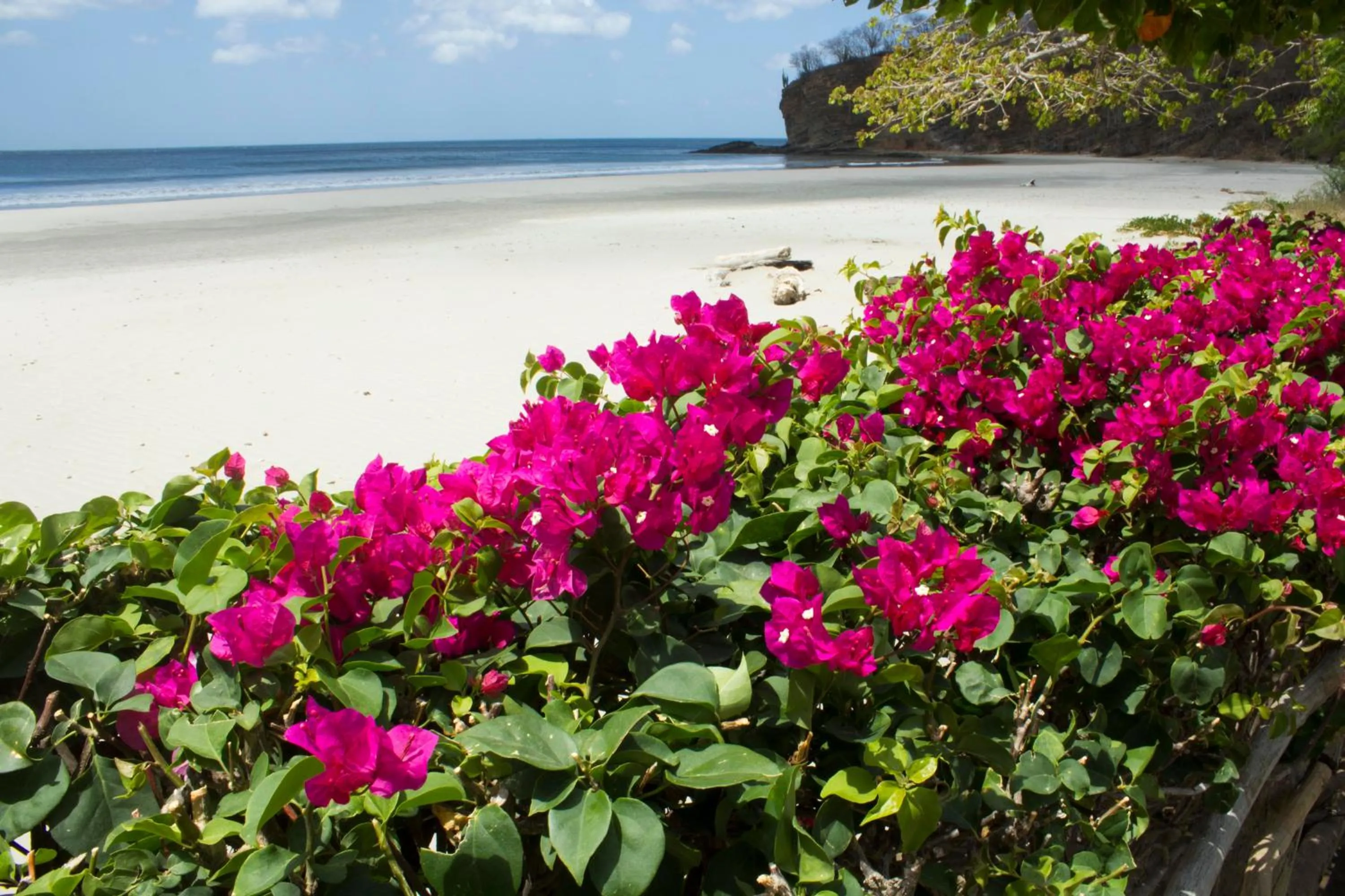 Beach in La Veranera, Playa El Coco