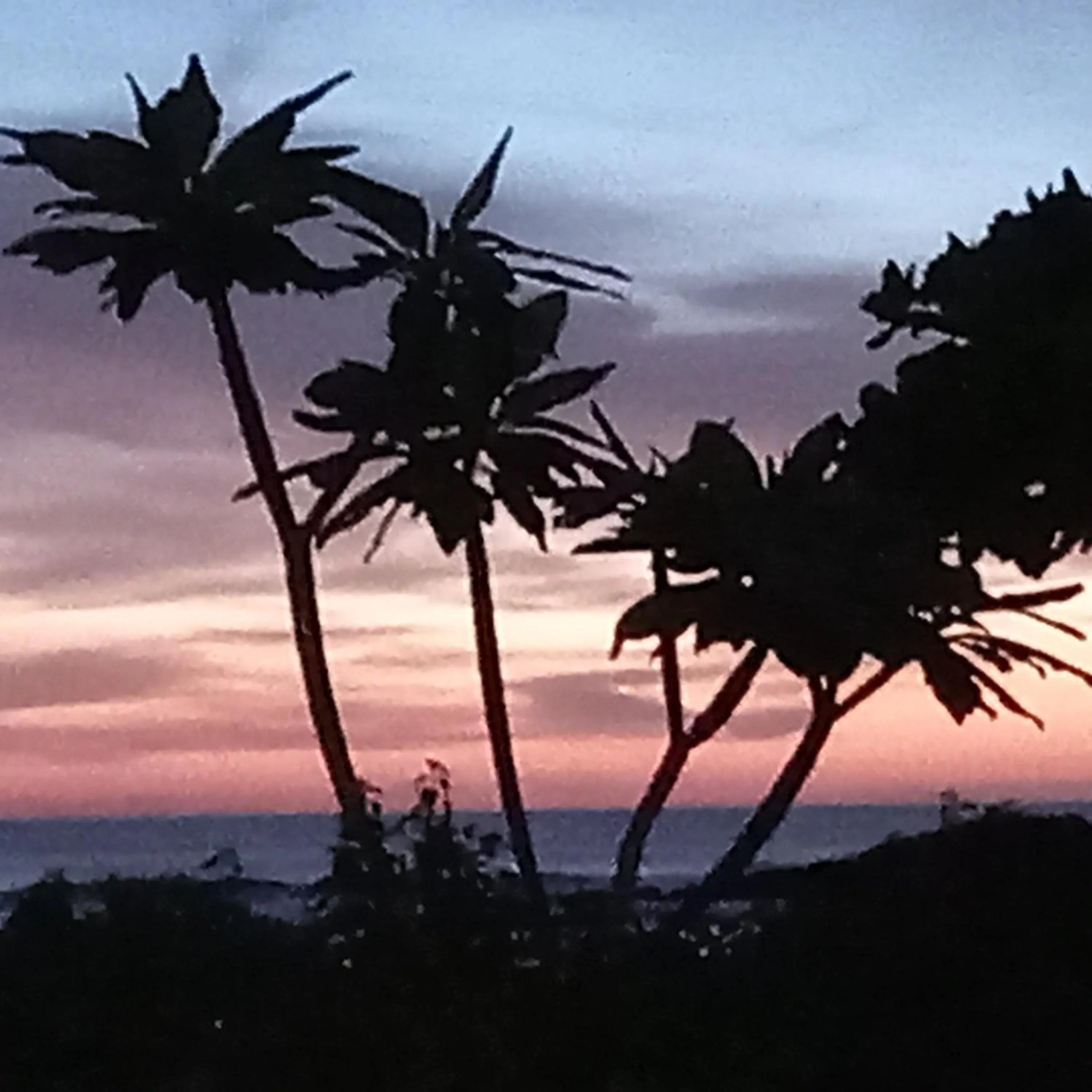 Natural landscape in La Veranera, Playa El Coco