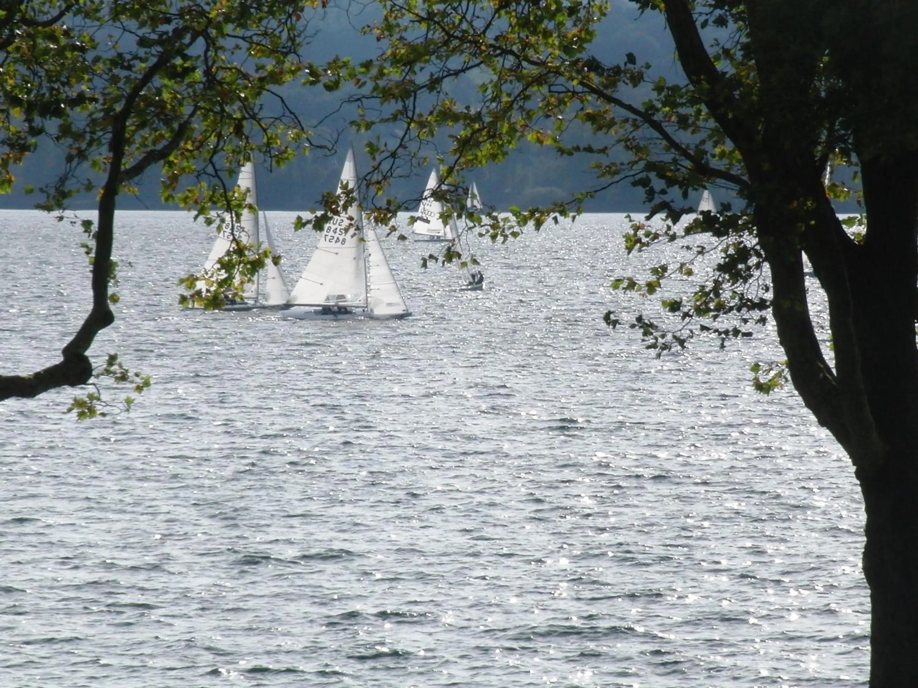 Aqua park in Iris am See garni