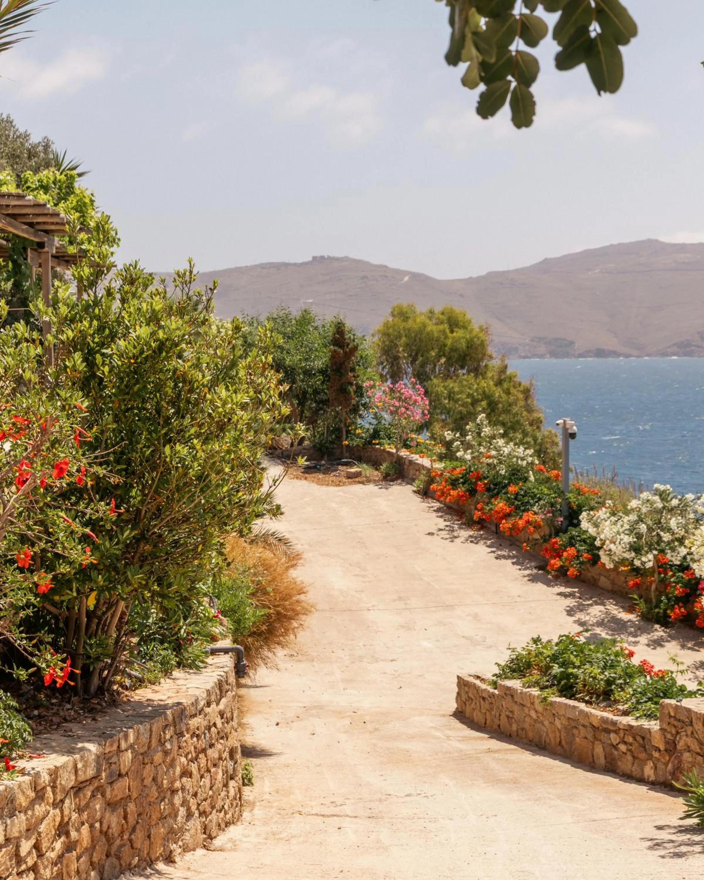 Day in Albatros Club Mykonos