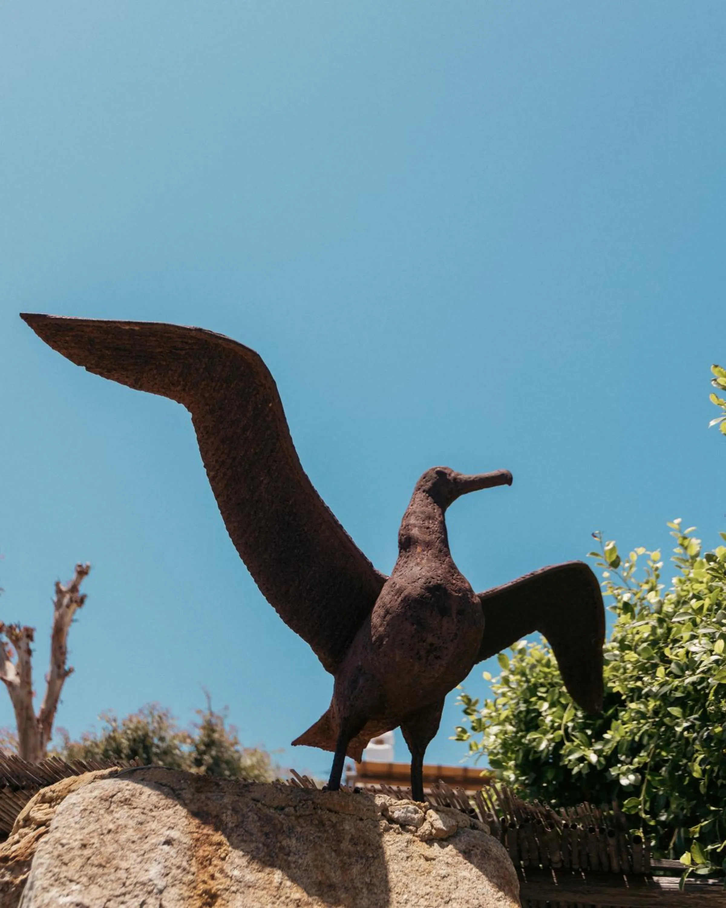 Day in Albatros Club Mykonos