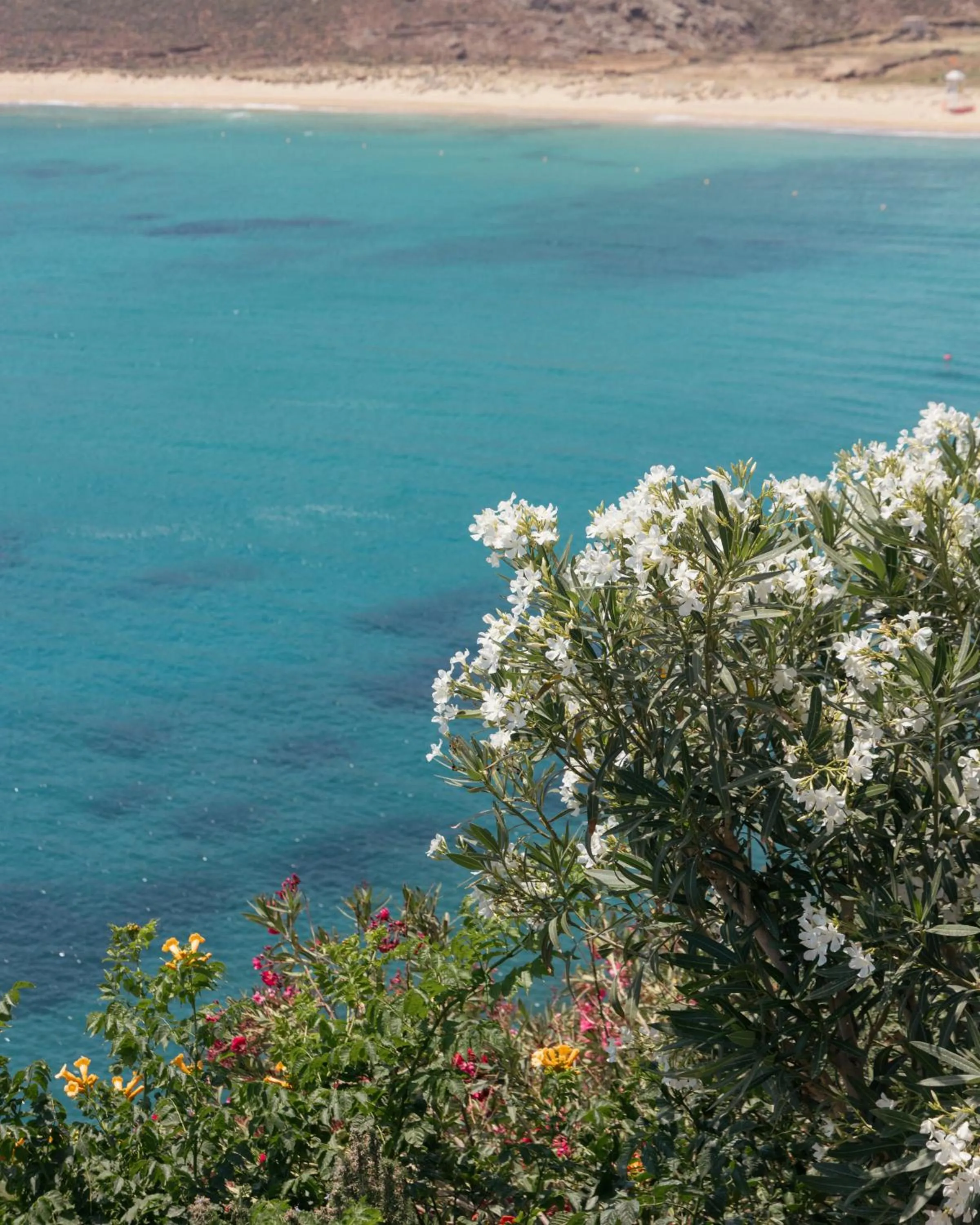 Beach in Albatros Club Mykonos