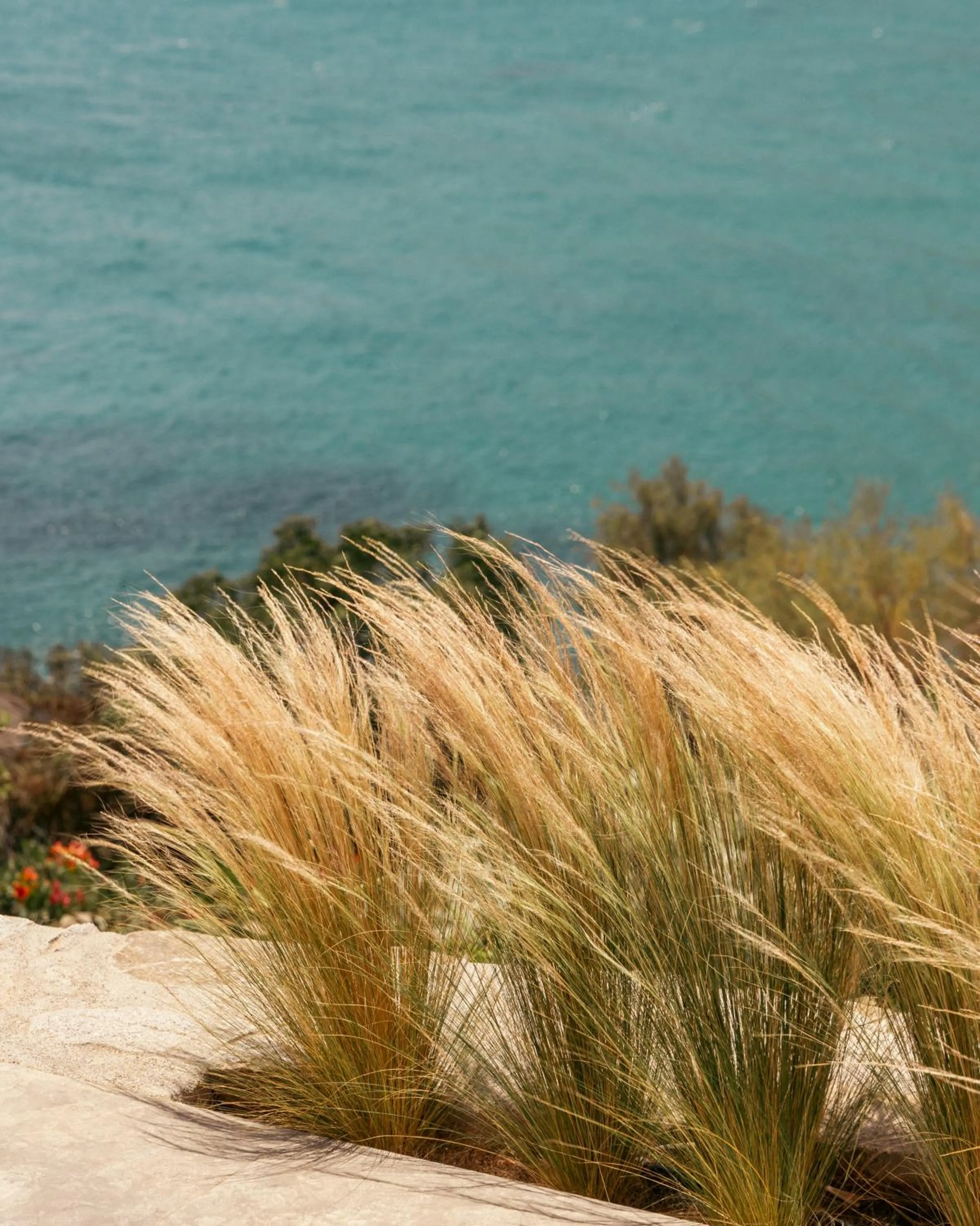 Natural landscape in Albatros Club Mykonos