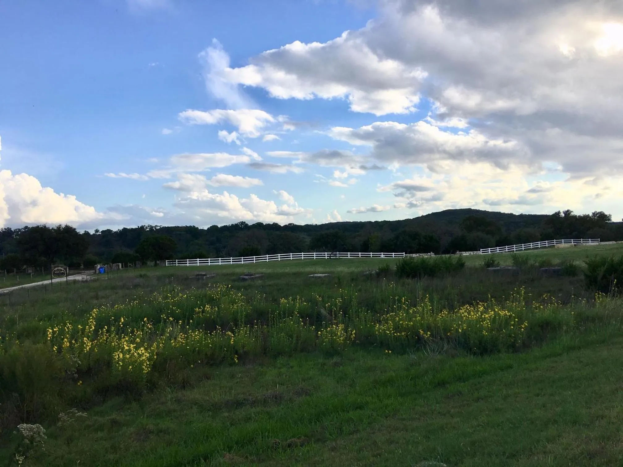 View (from property/room) in The Alexander at Creek Road