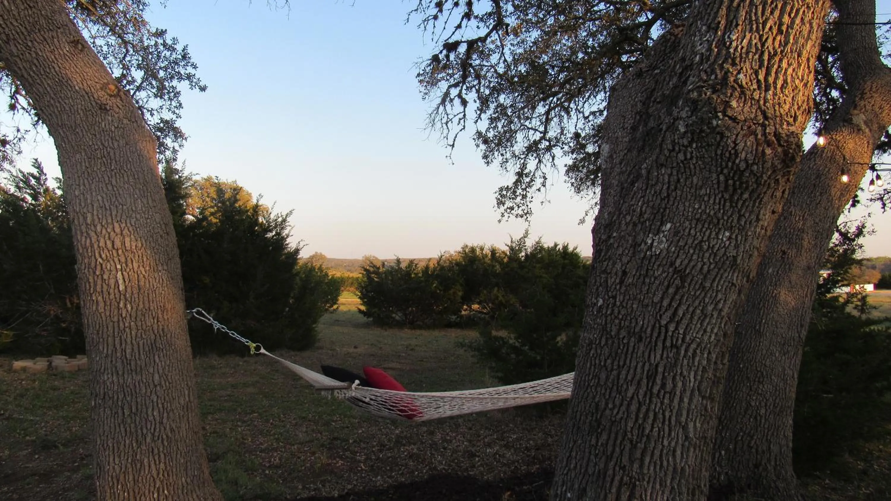 Natural landscape in The Alexander at Creek Road