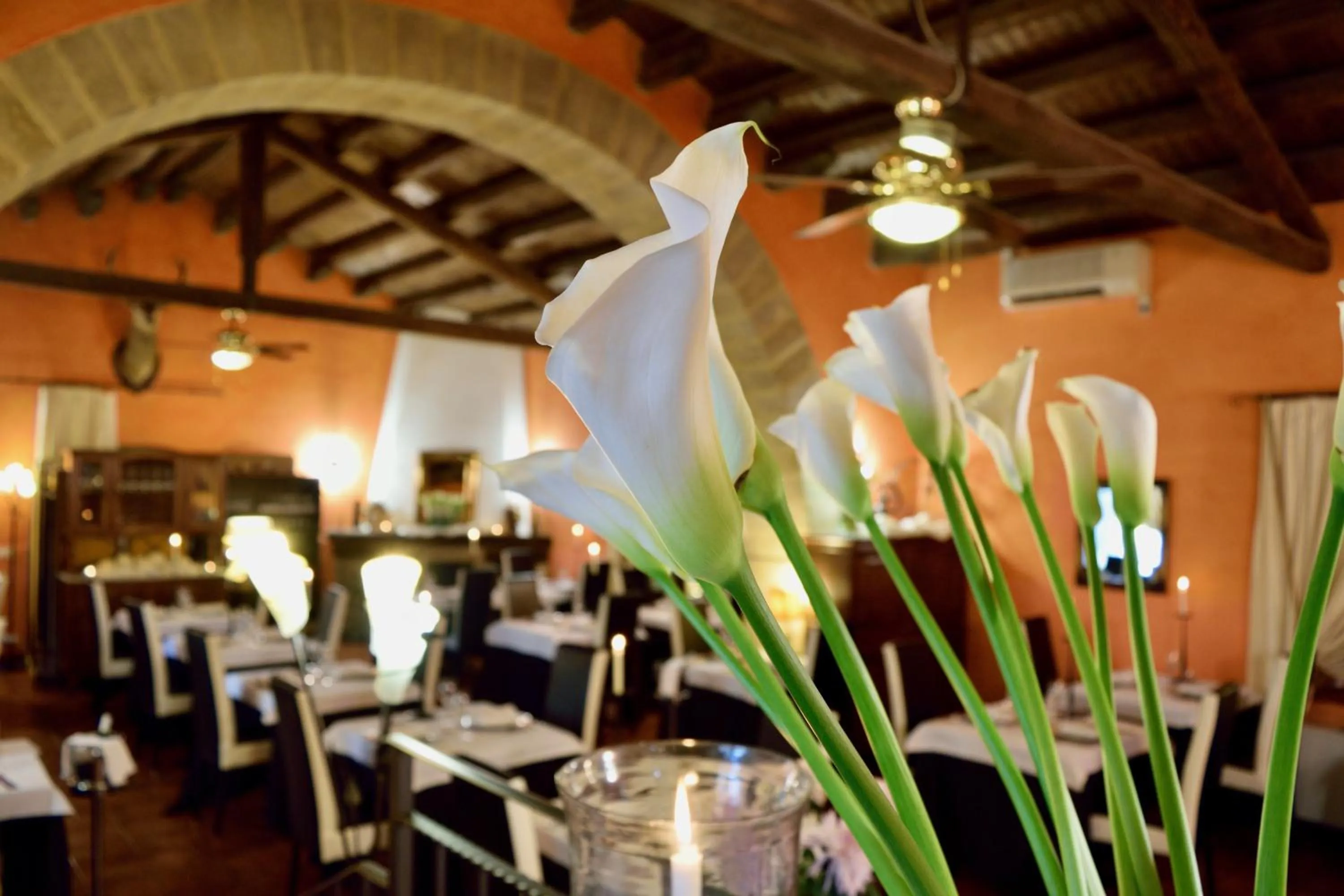 Agriturismo Vecchia Masseria Charme&Relax