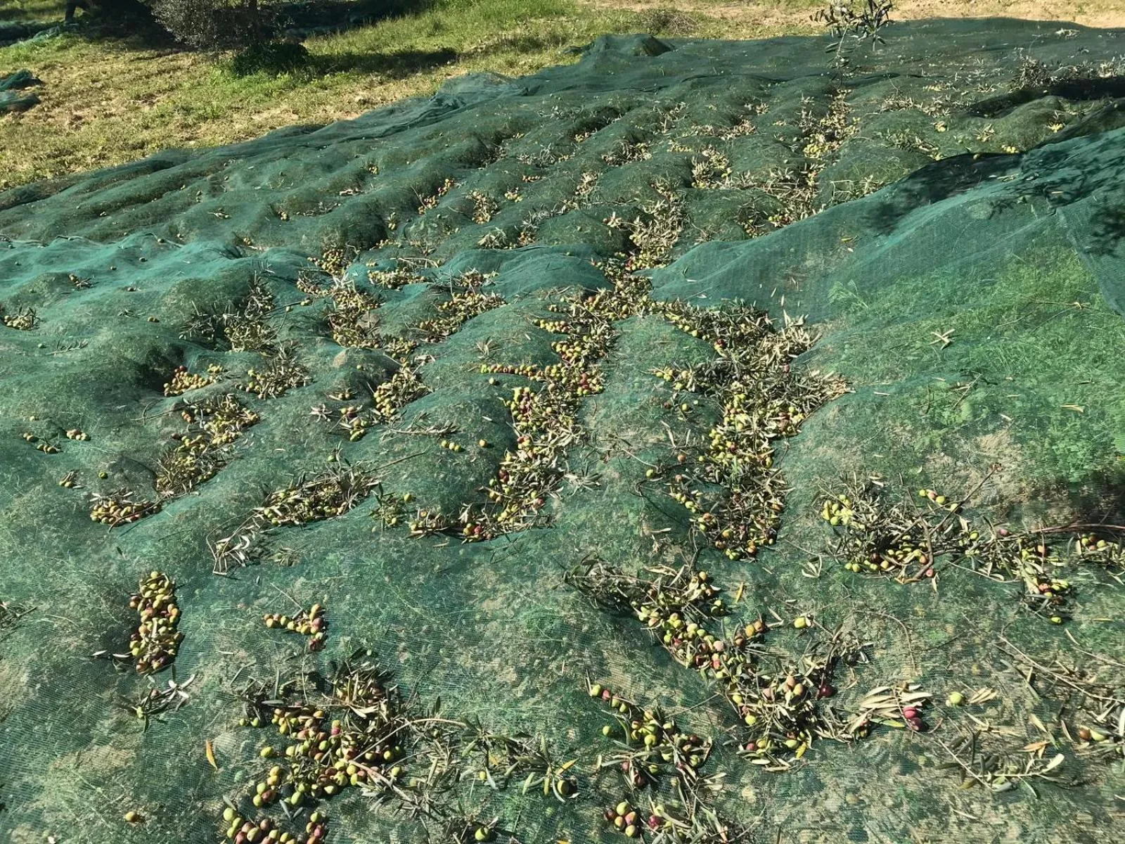 Agriturismo Vecchia Masseria Charme&Relax