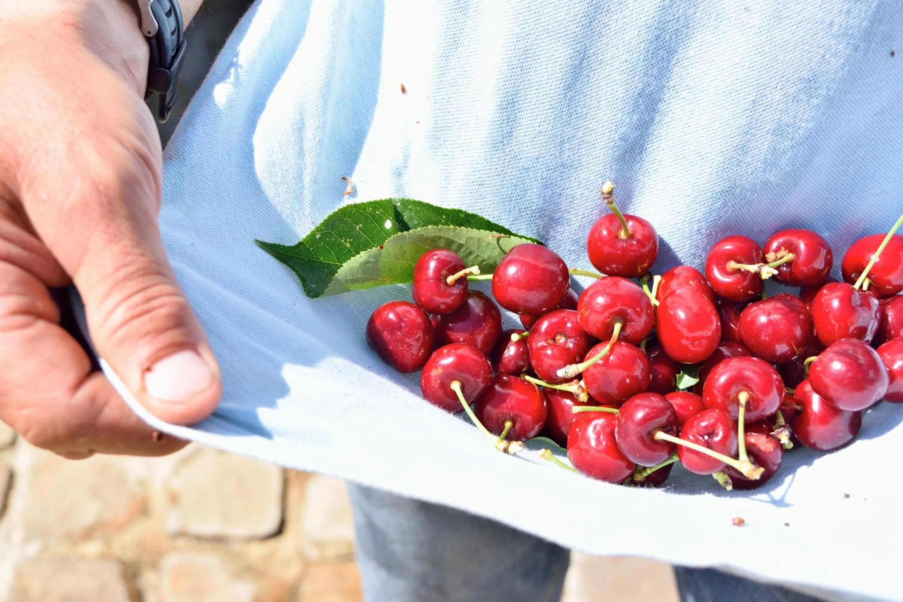 Agriturismo Vecchia Masseria Charme&Relax