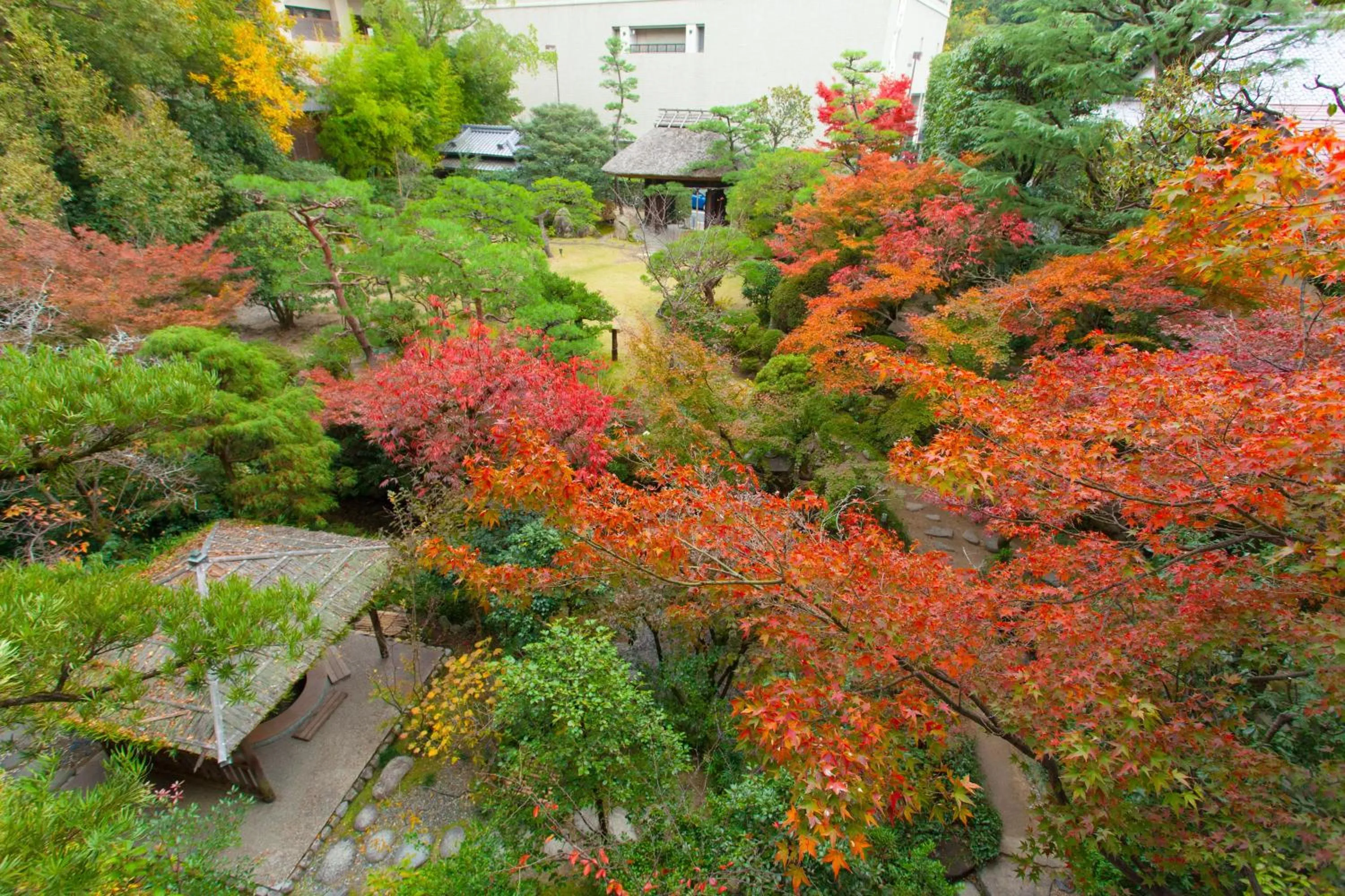 Garden in Funaya