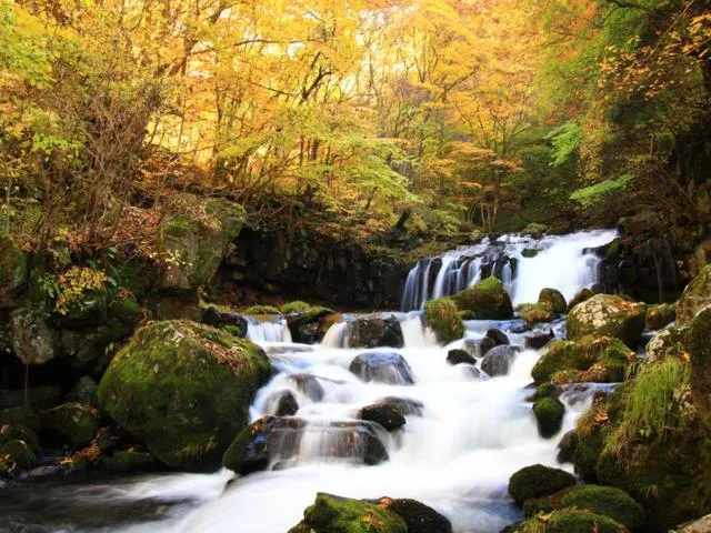 Natural landscape in Shirakabako View Hotel