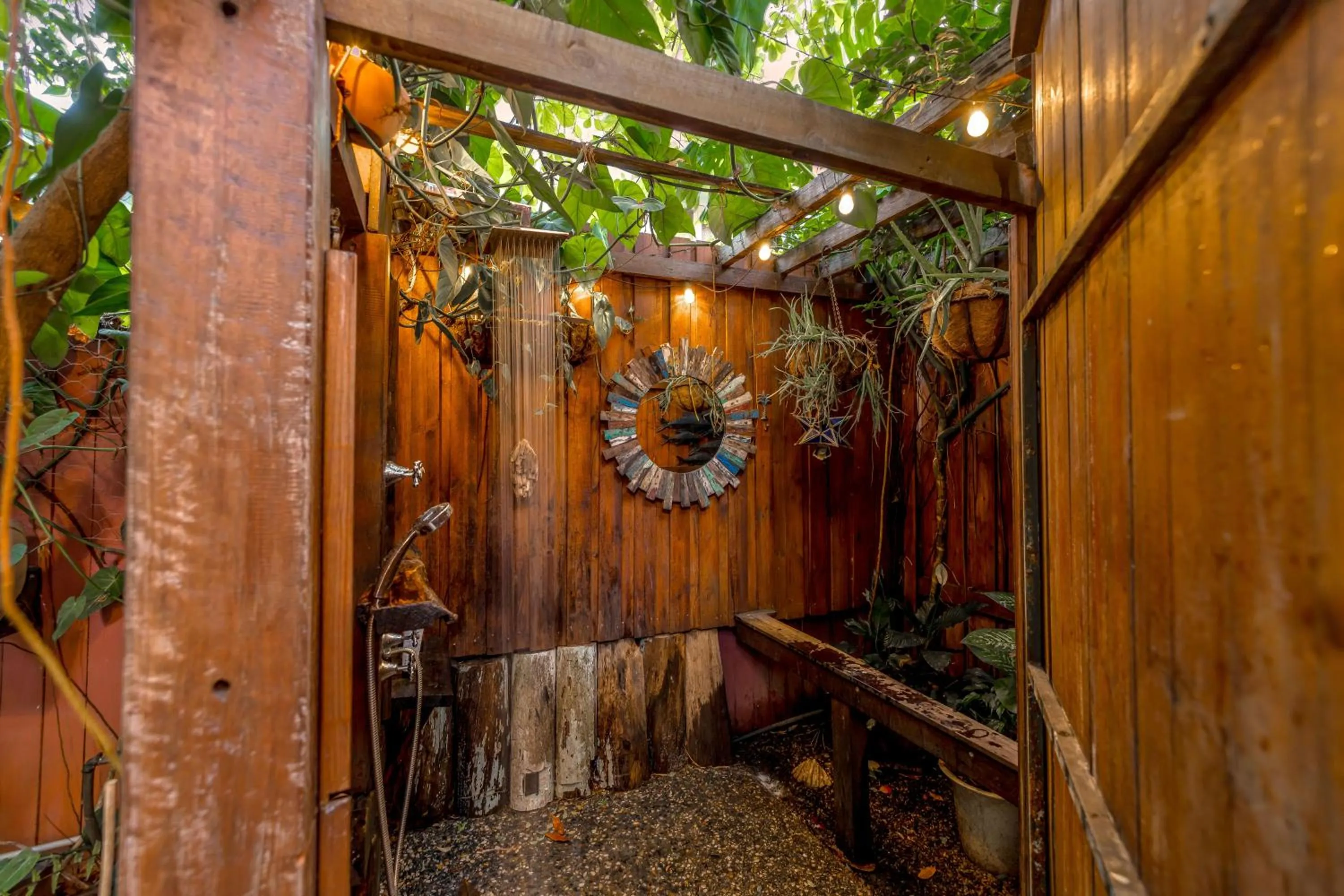 Day in Travellers Oasis