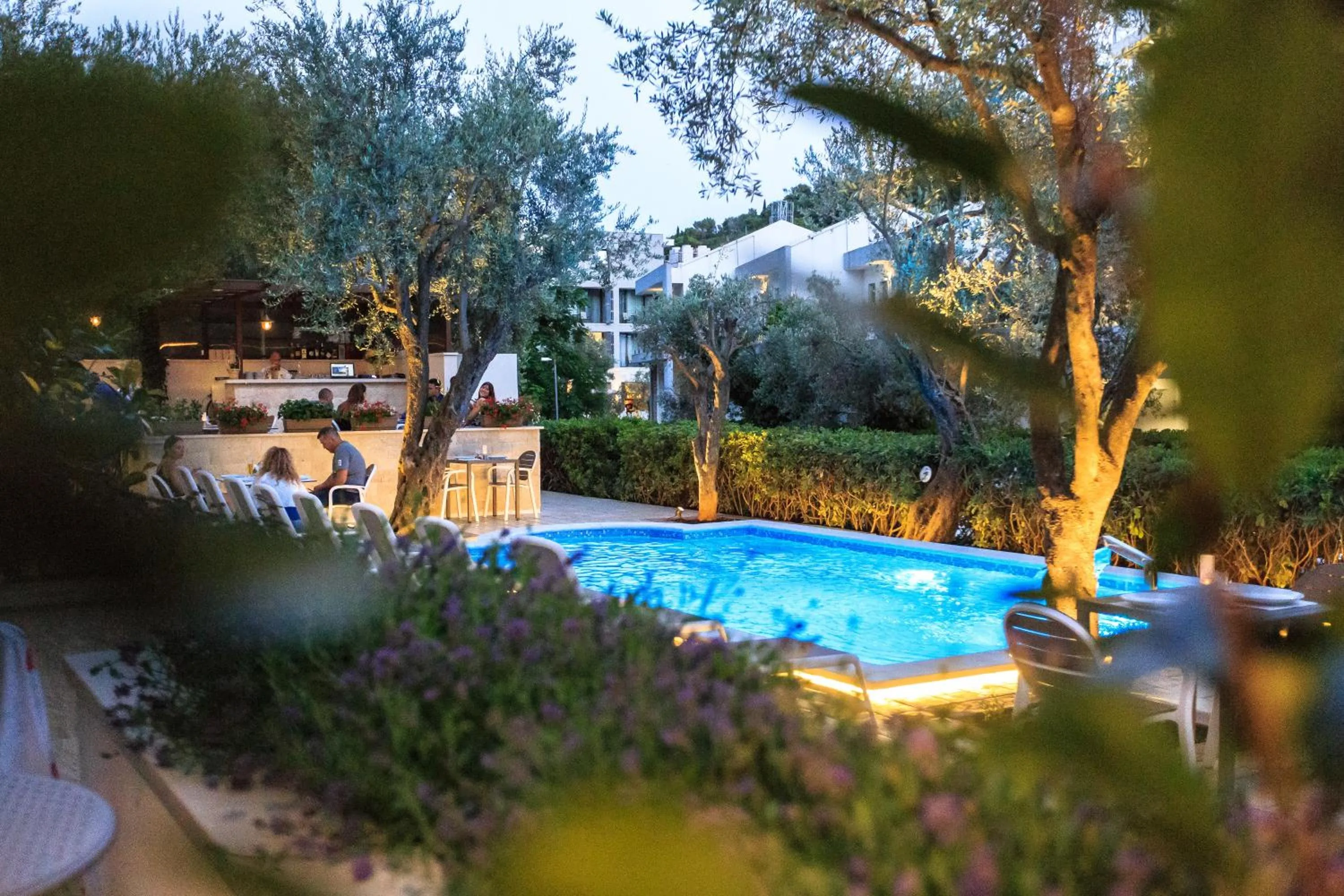 Swimming pool in Hotel Harmony by Aycon