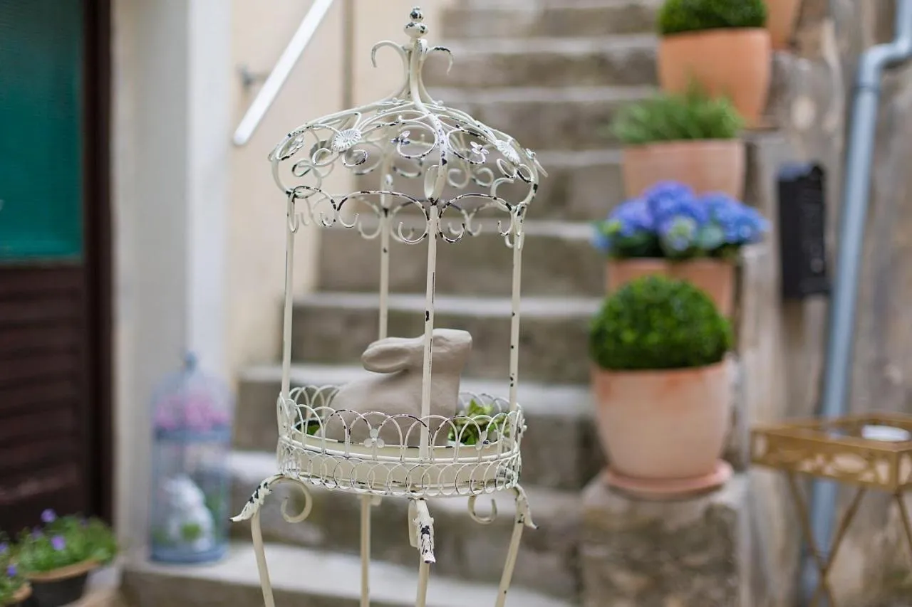 Area and facilities in Lola Dream