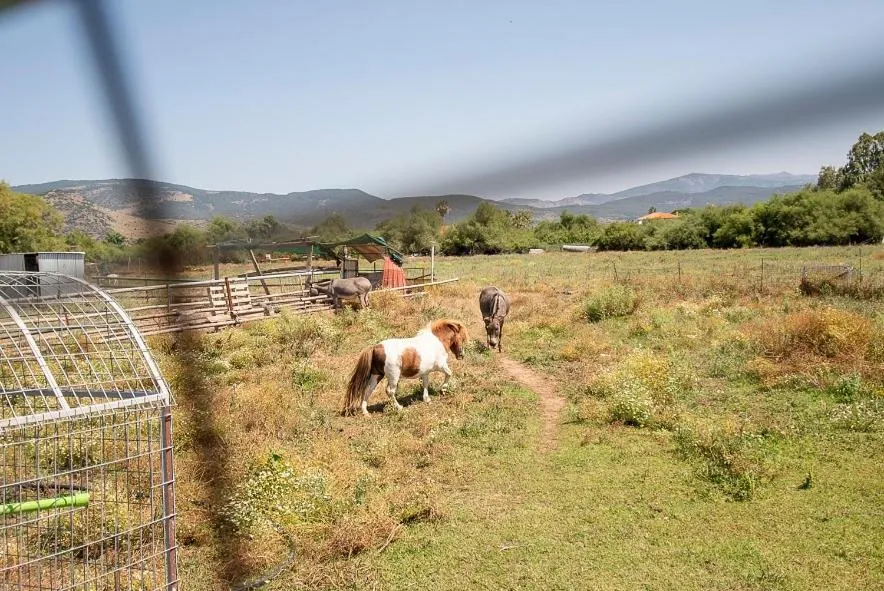 Malemi Organic Hotel