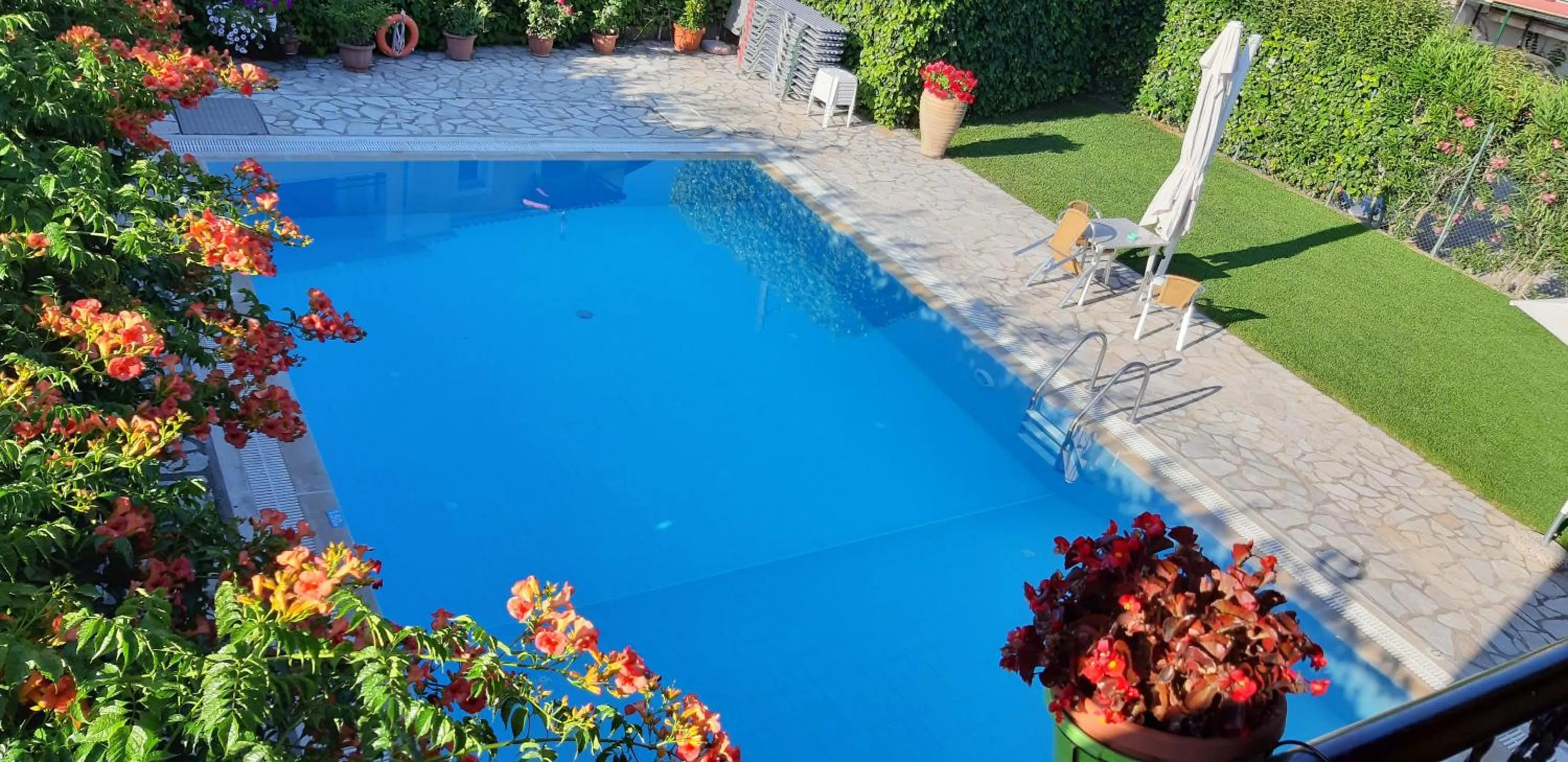 Swimming pool in Kalypso Gouvia