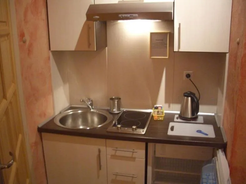 Kitchen or kitchenette in Hotel Krak