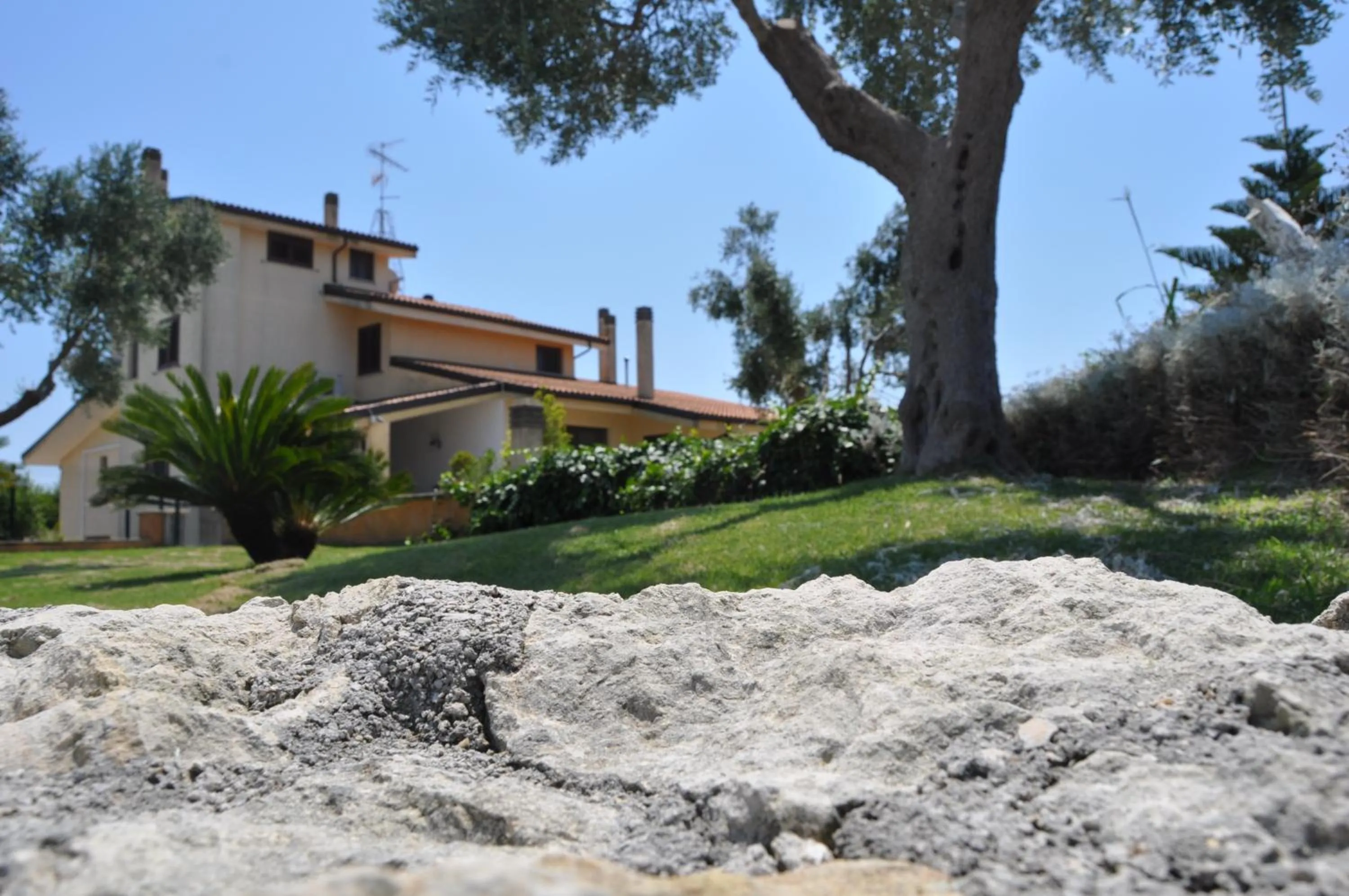 Spring in Bed & Breakfast Giardini Di Marzo