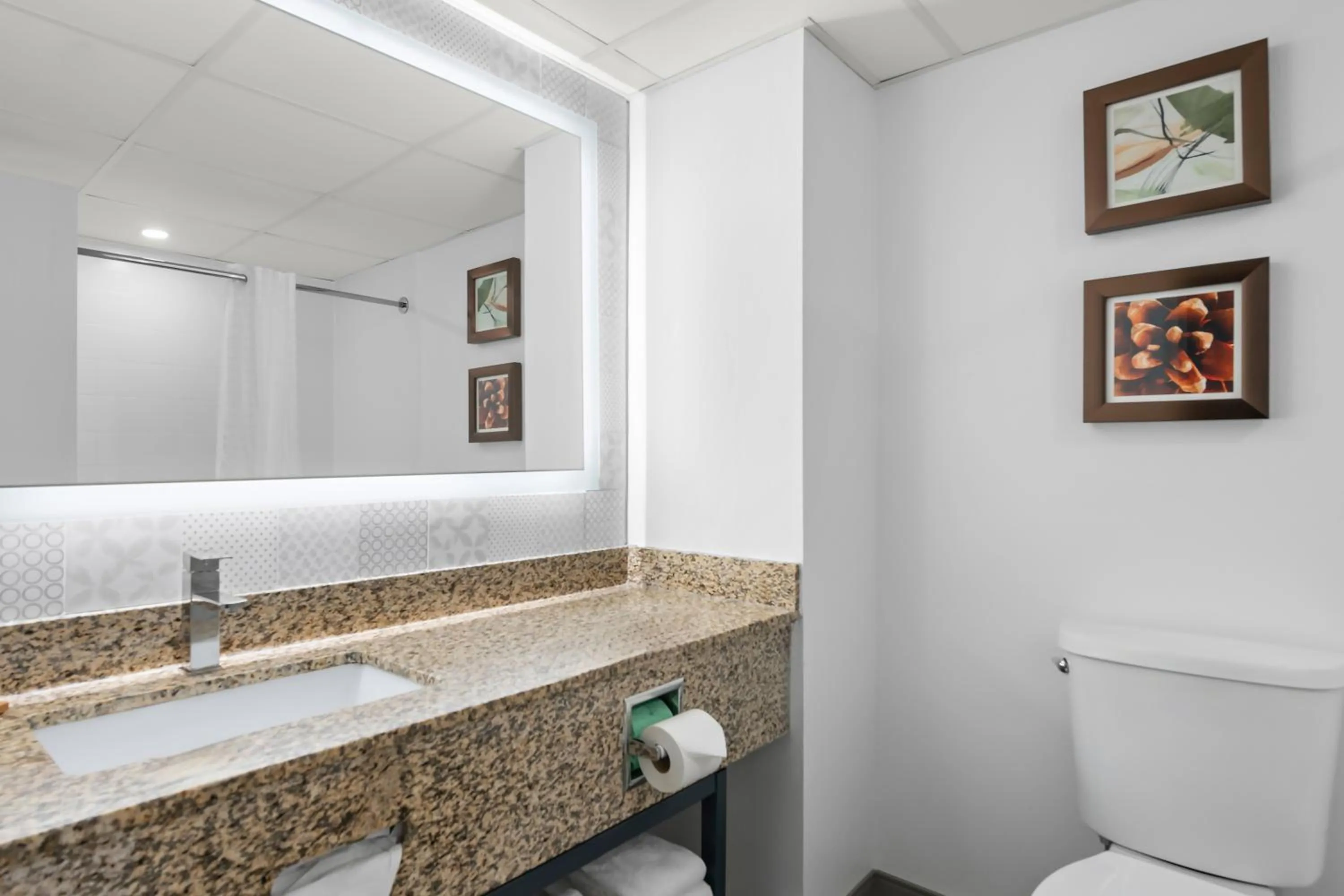 Toilet in Country Inn & Suites by Radisson, Near The National Sports Center, Coon Rapids, MN