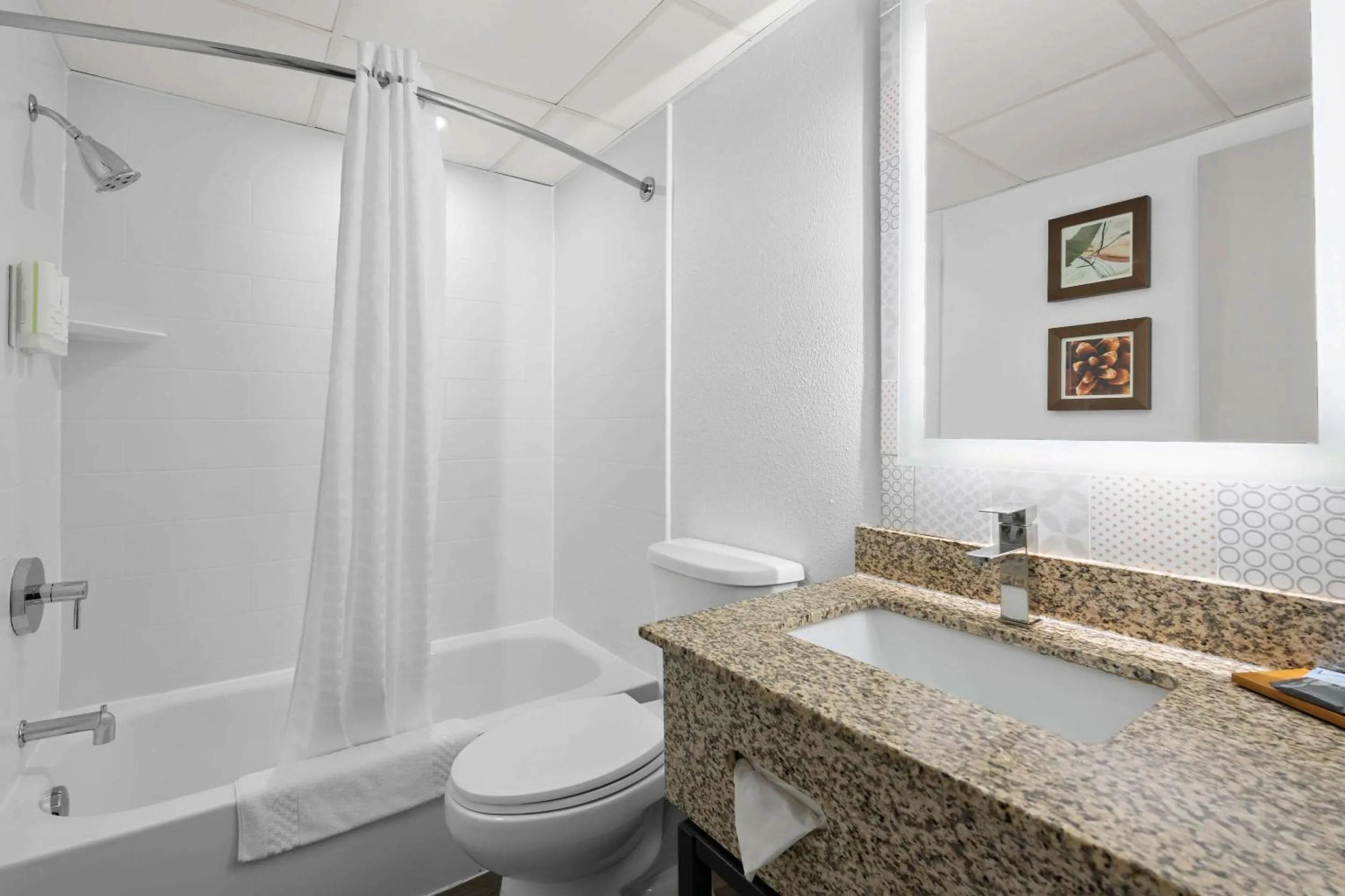 Bedroom in Country Inn & Suites by Radisson, Near The National Sports Center, Coon Rapids, MN