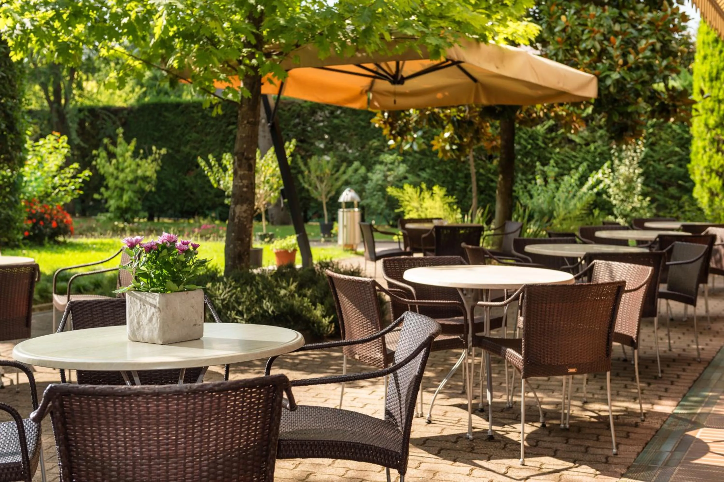 Garden in Hotel Terme Antoniano