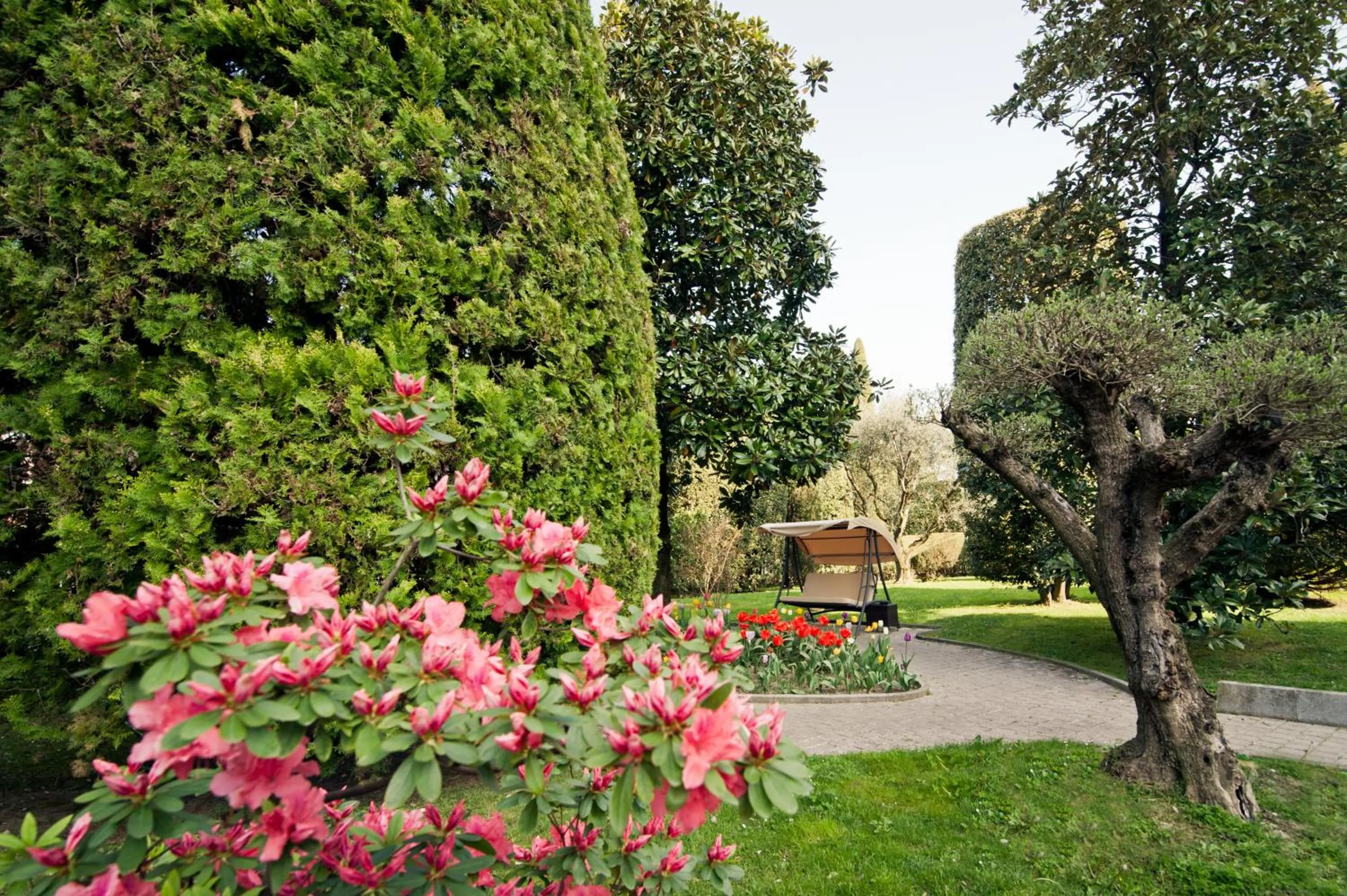 Garden in Hotel Terme Antoniano