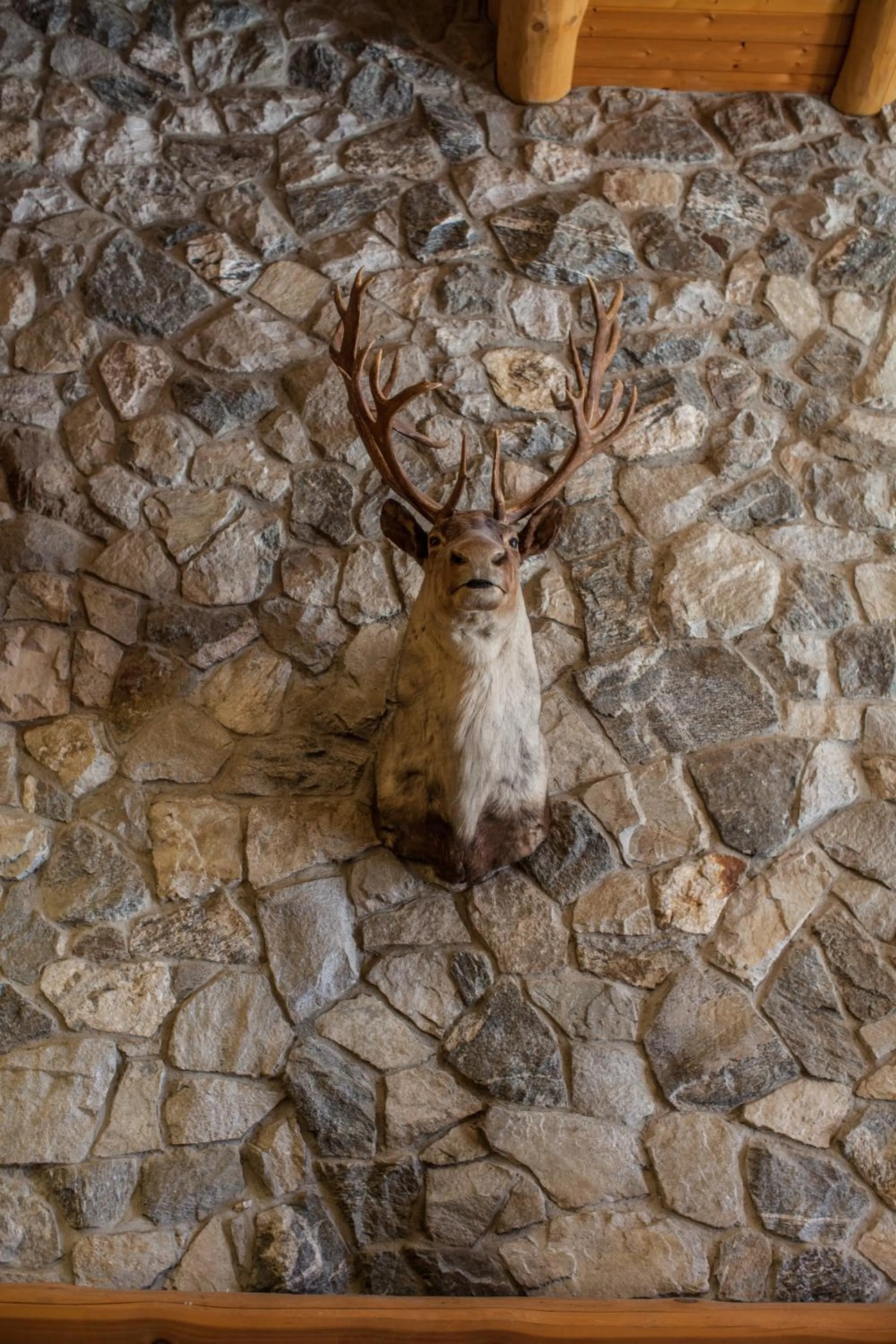 Lobby or reception in Coast Hillcrest Hotel
