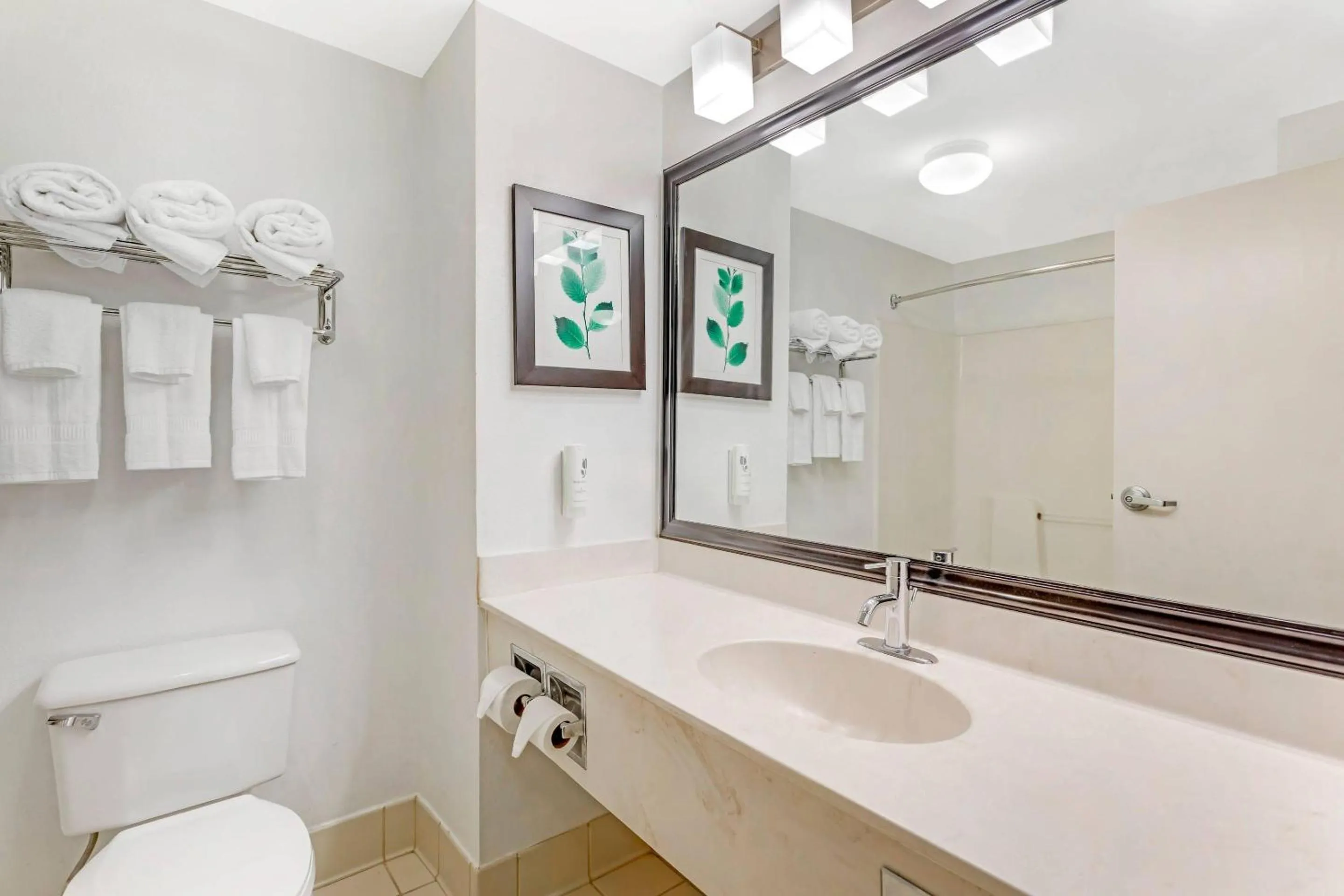 Bedroom in Country Inn & Suites by Radisson, Jacksonville - Orange Park