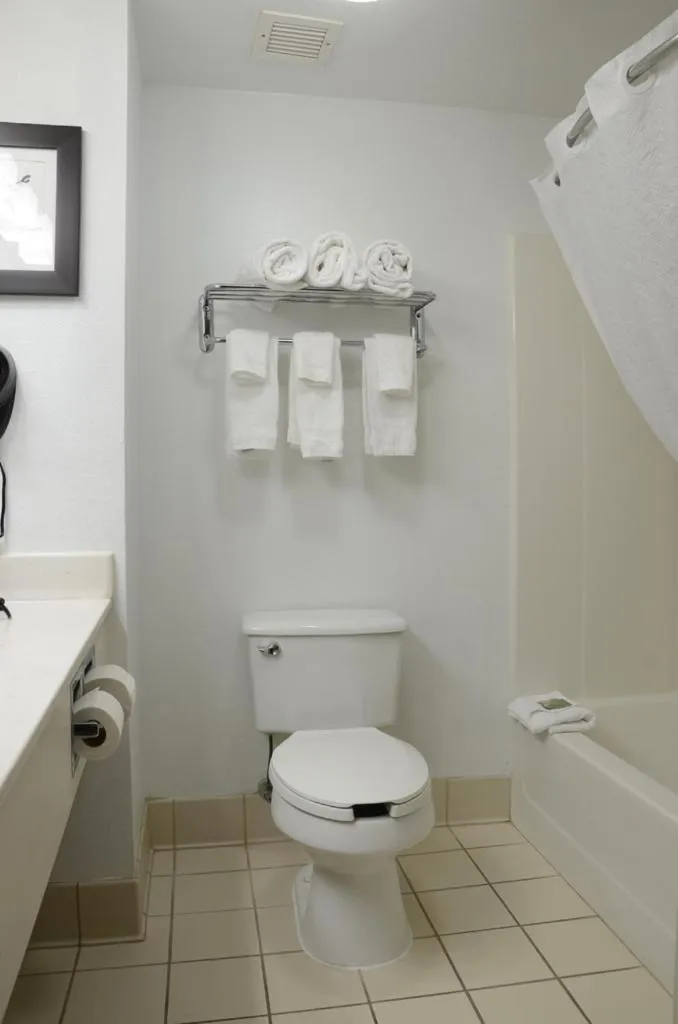 Bathroom in Country Inn & Suites by Radisson, Jacksonville, FL