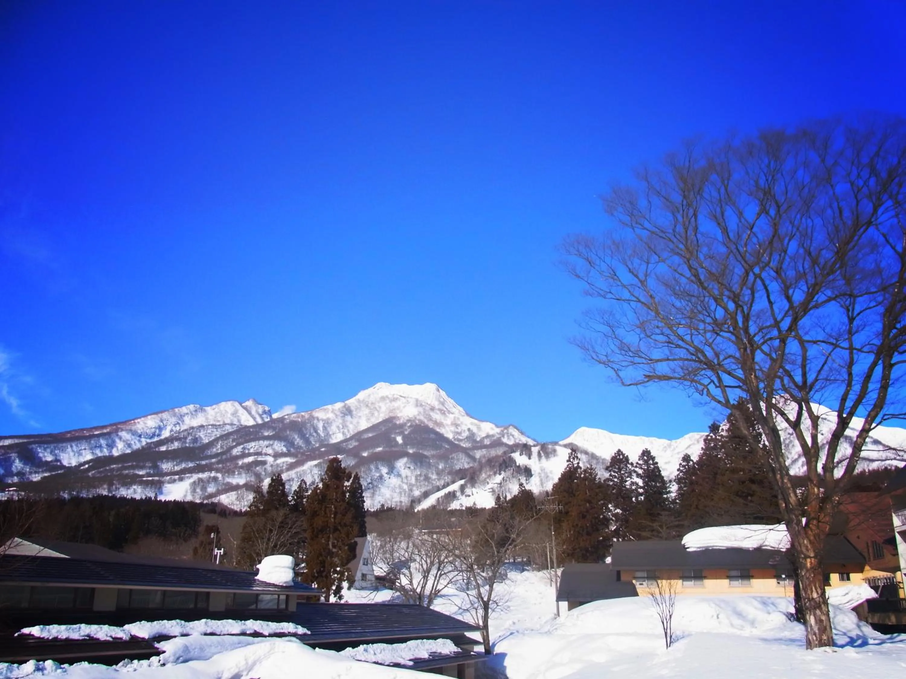 Winter in Akakura Hotel