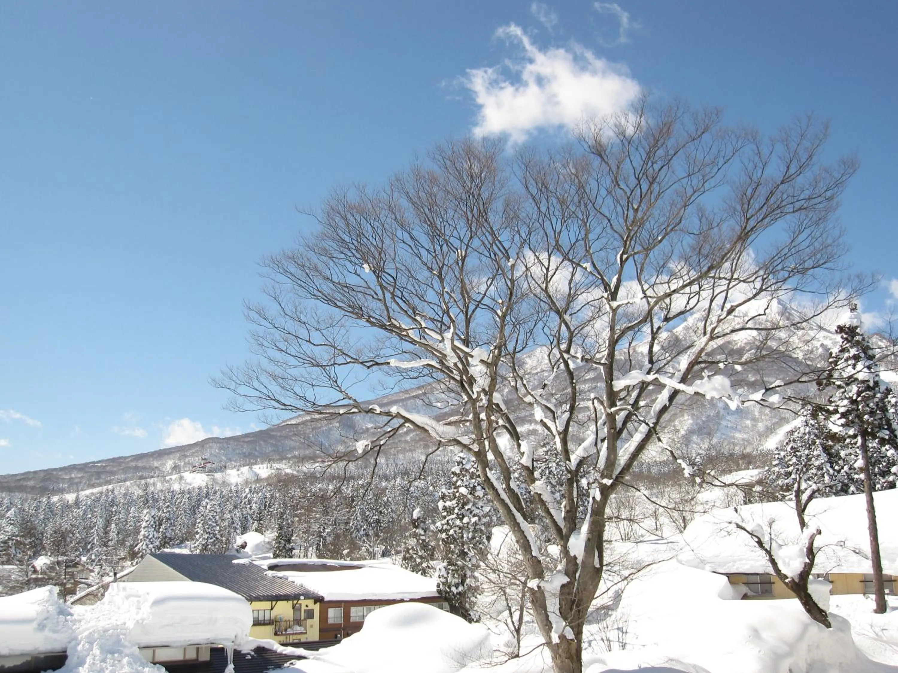 Winter in Akakura Hotel